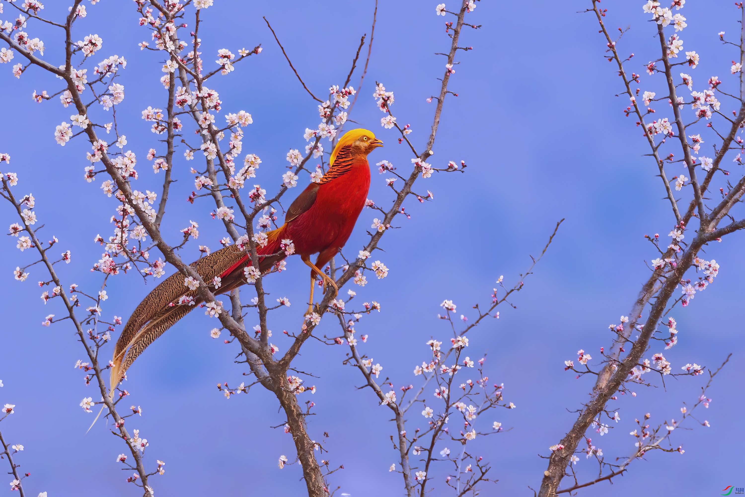 �츹���������ӻ��� ����.jpg