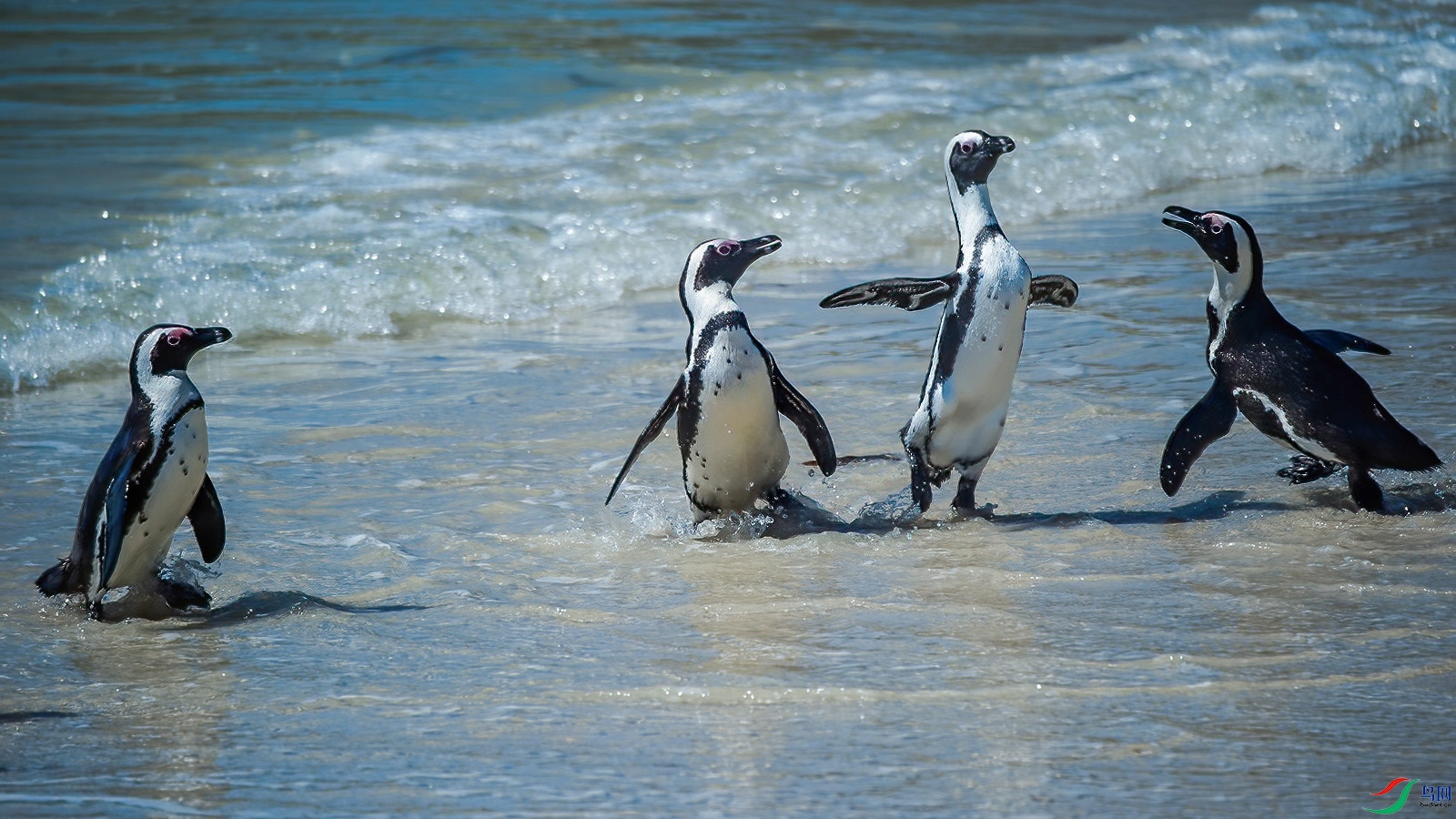 840529188853797214 ���� 2.jpg