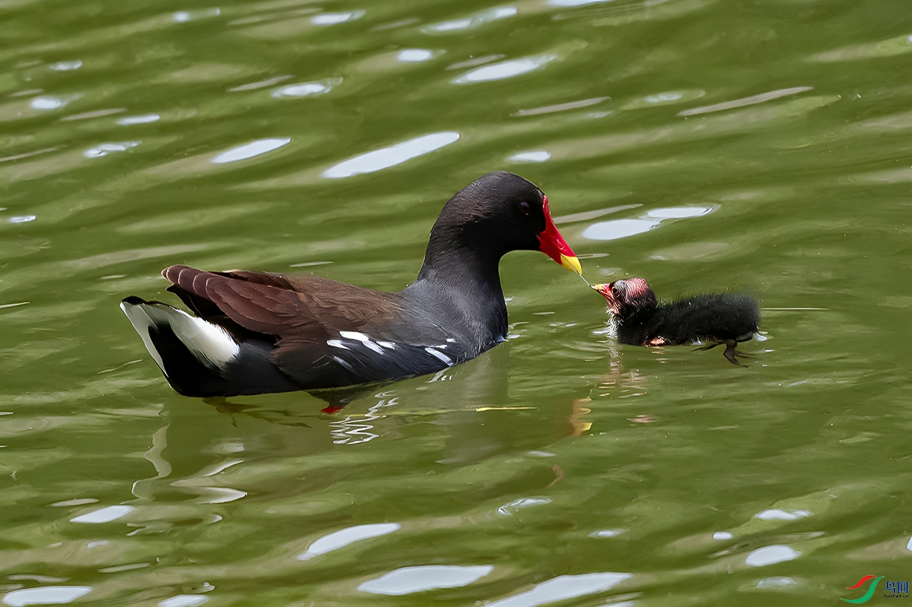 DSC_7628=.jpg