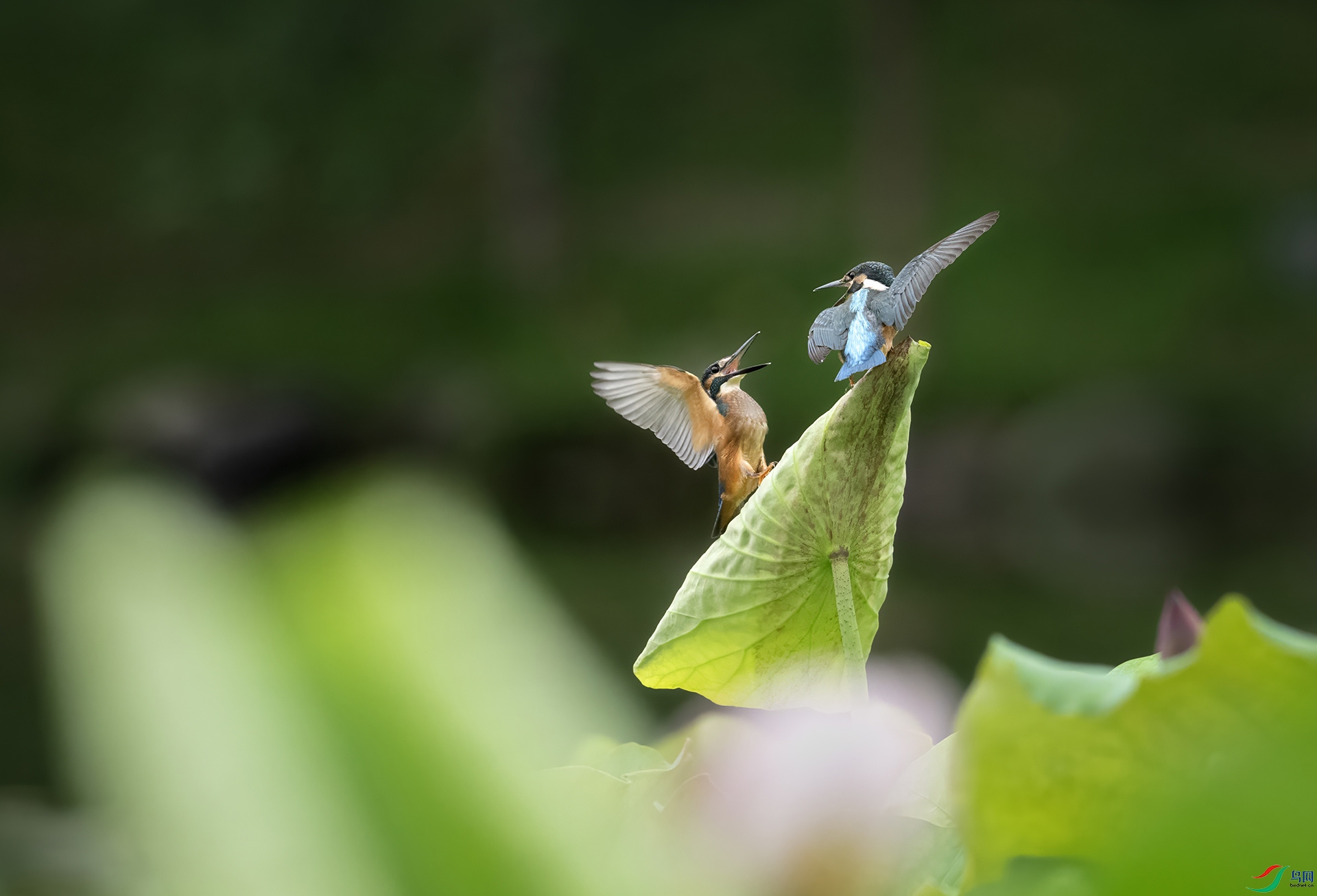 DSC_1221 -4.jpg