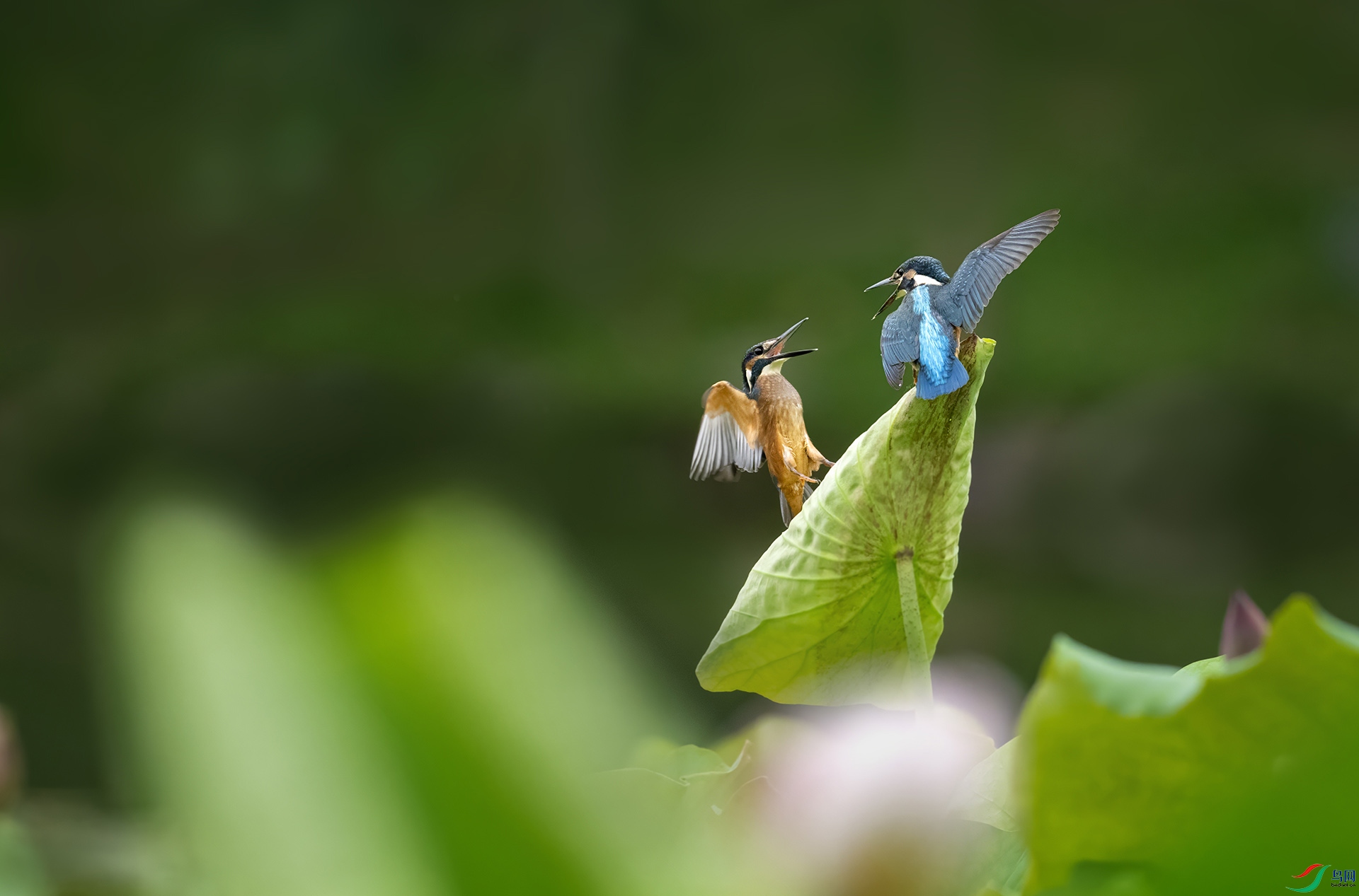 DSC_1224 -4.jpg