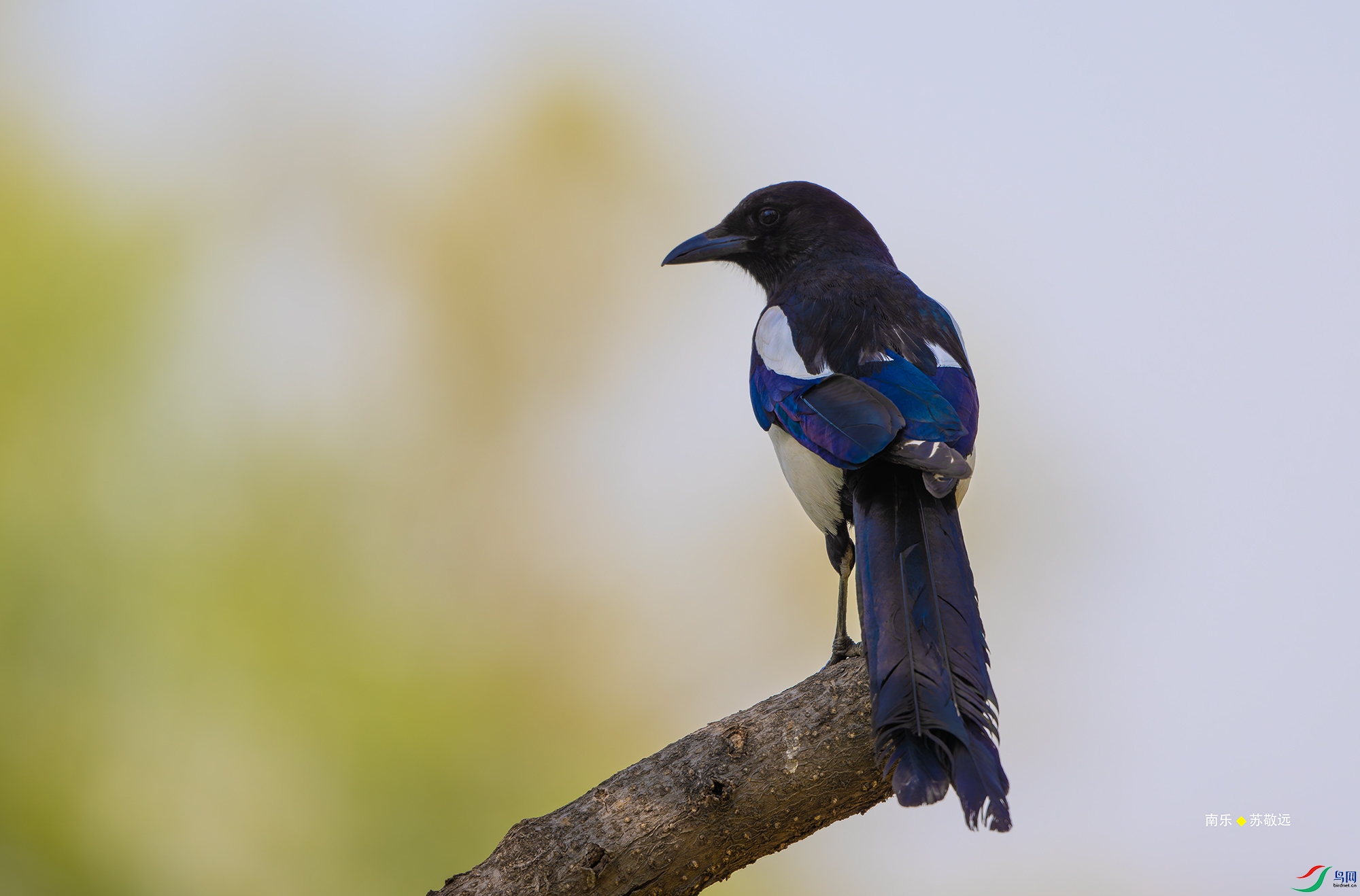 20250413-_DSC4967С.jpg