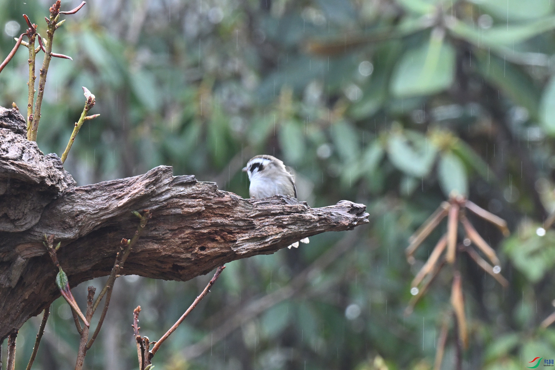 DSC_5875_����.jpg