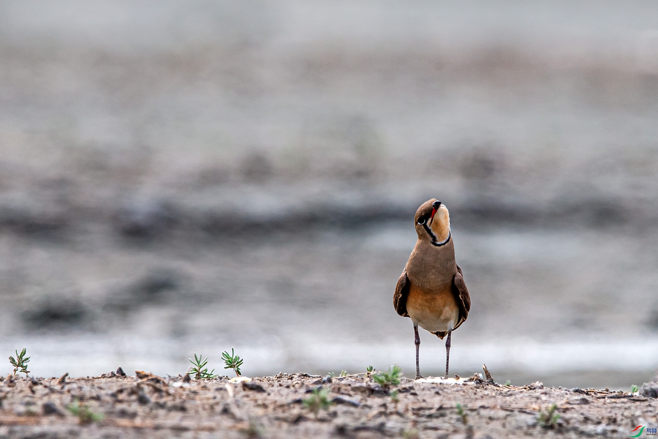 ����
