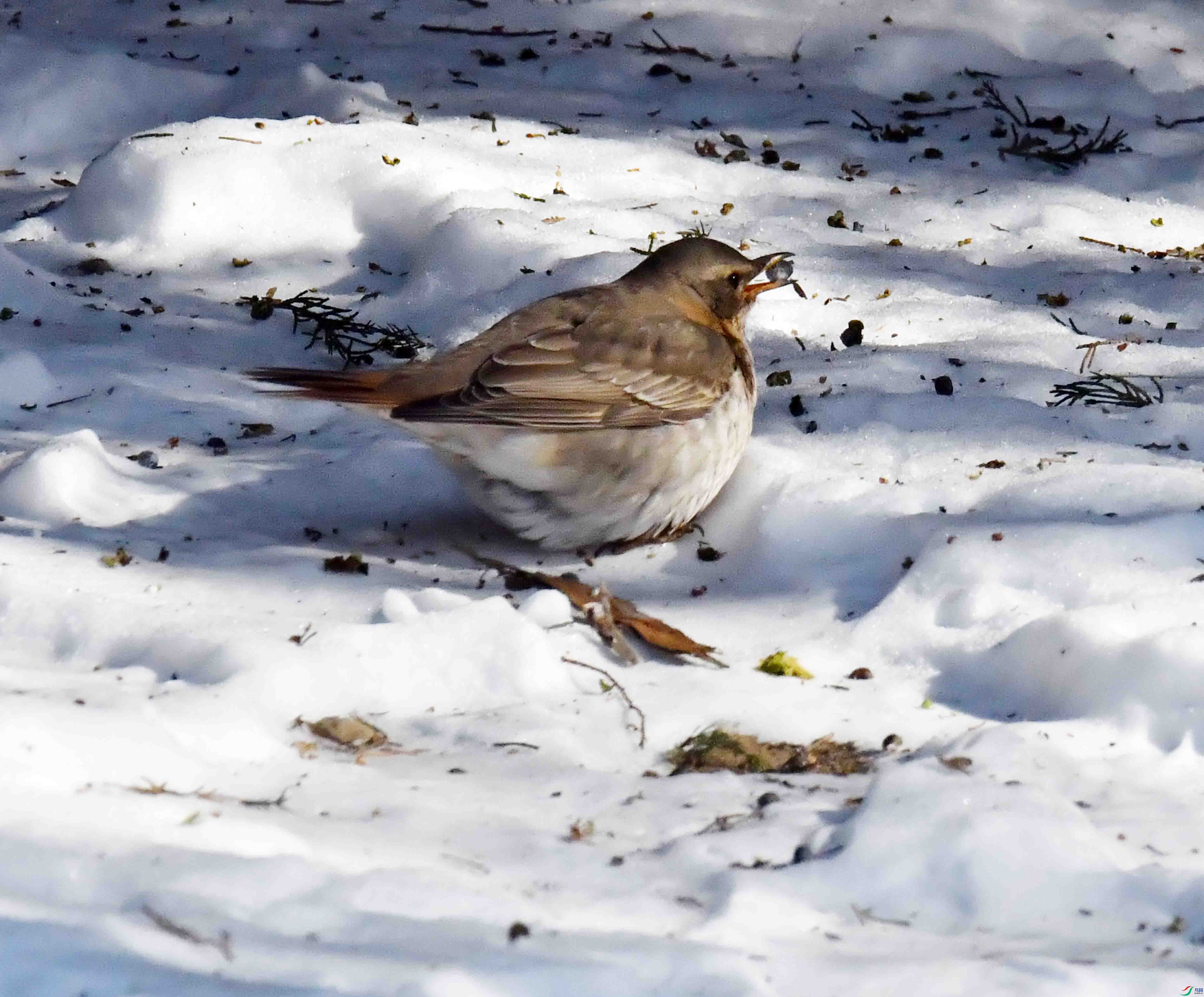 DSC_2740.JPG