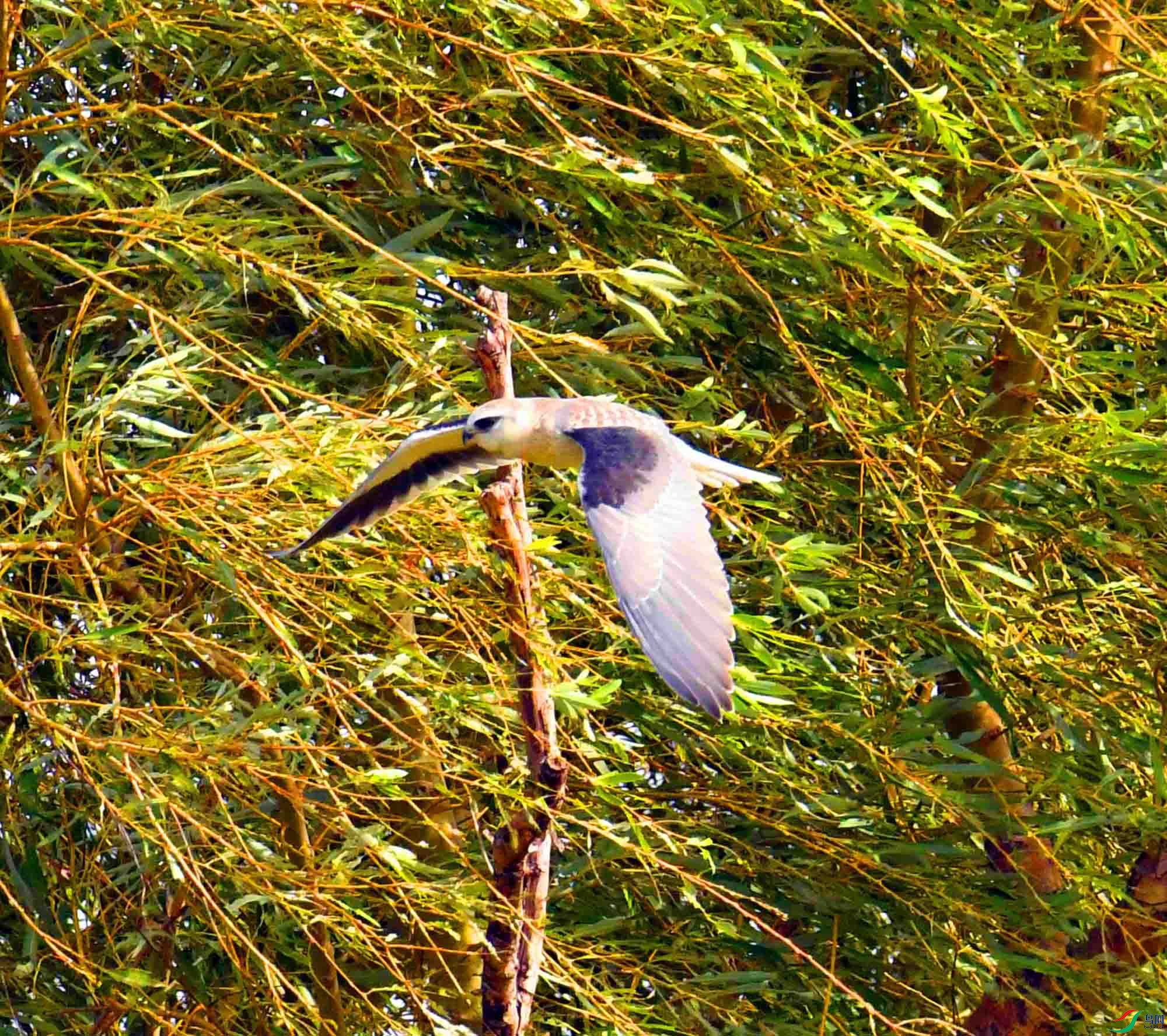 DSC_0902.JPG