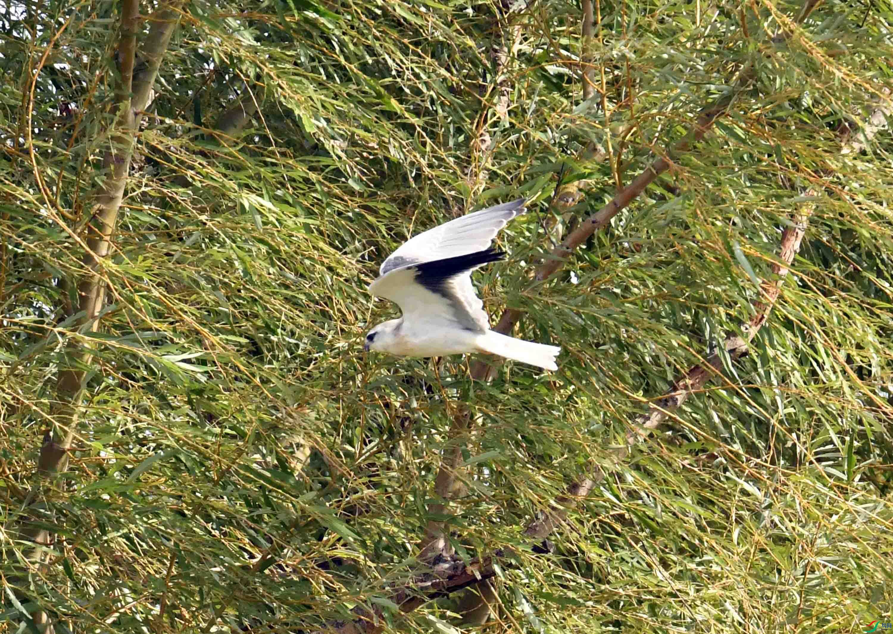 DSC_0899.JPG