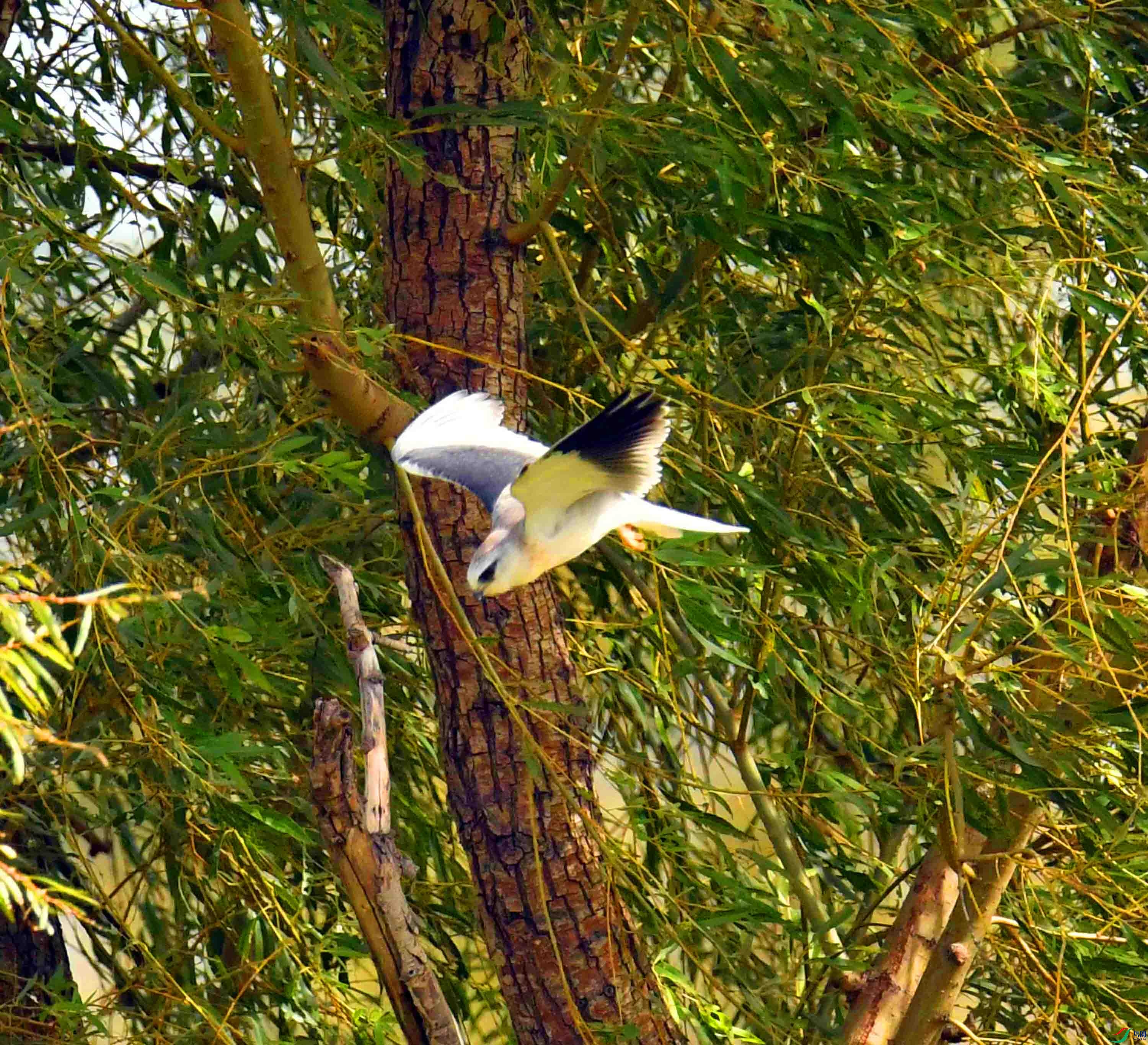 DSC_0910.JPG