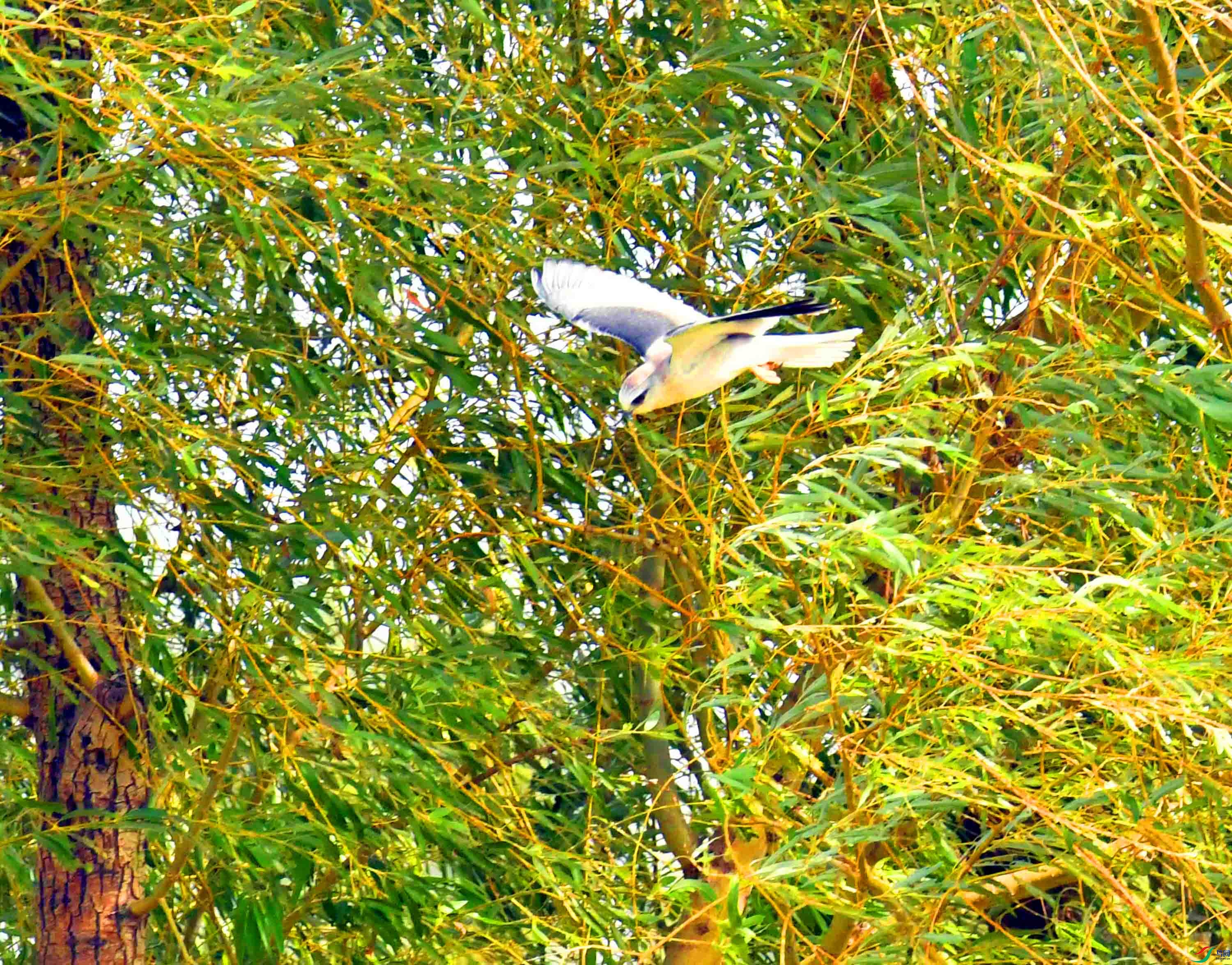 DSC_0909.JPG