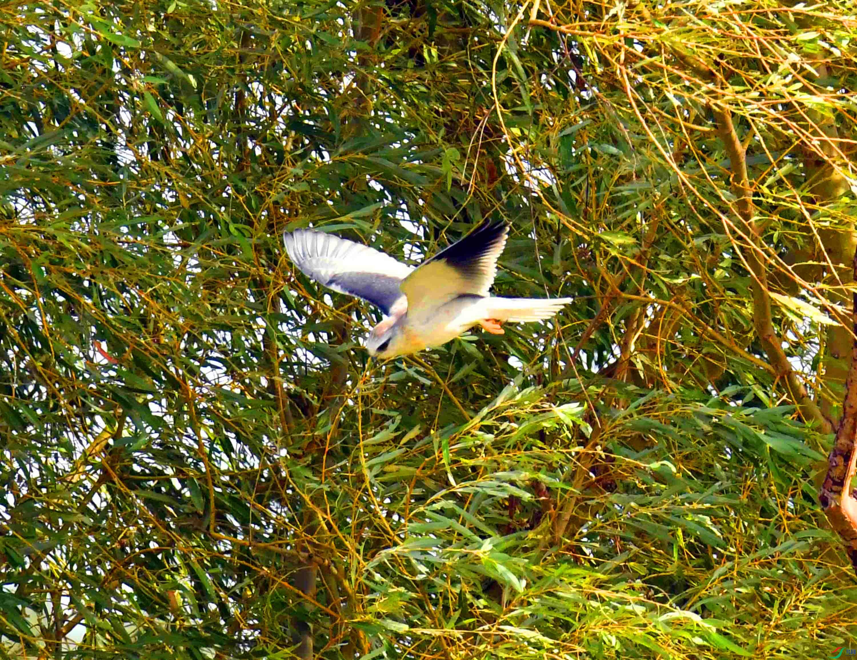 DSC_0908.JPG