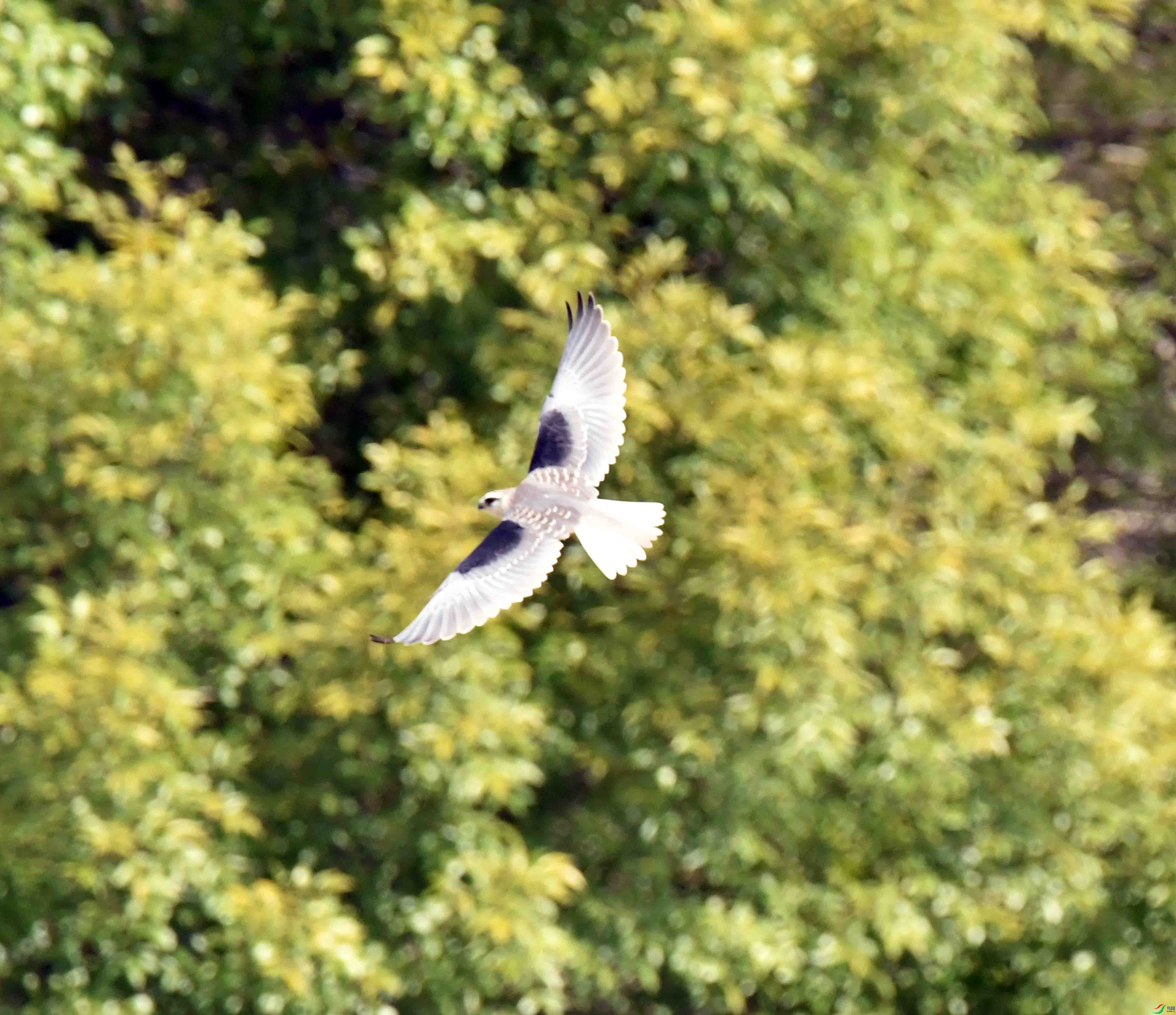 DSC_0957.JPG