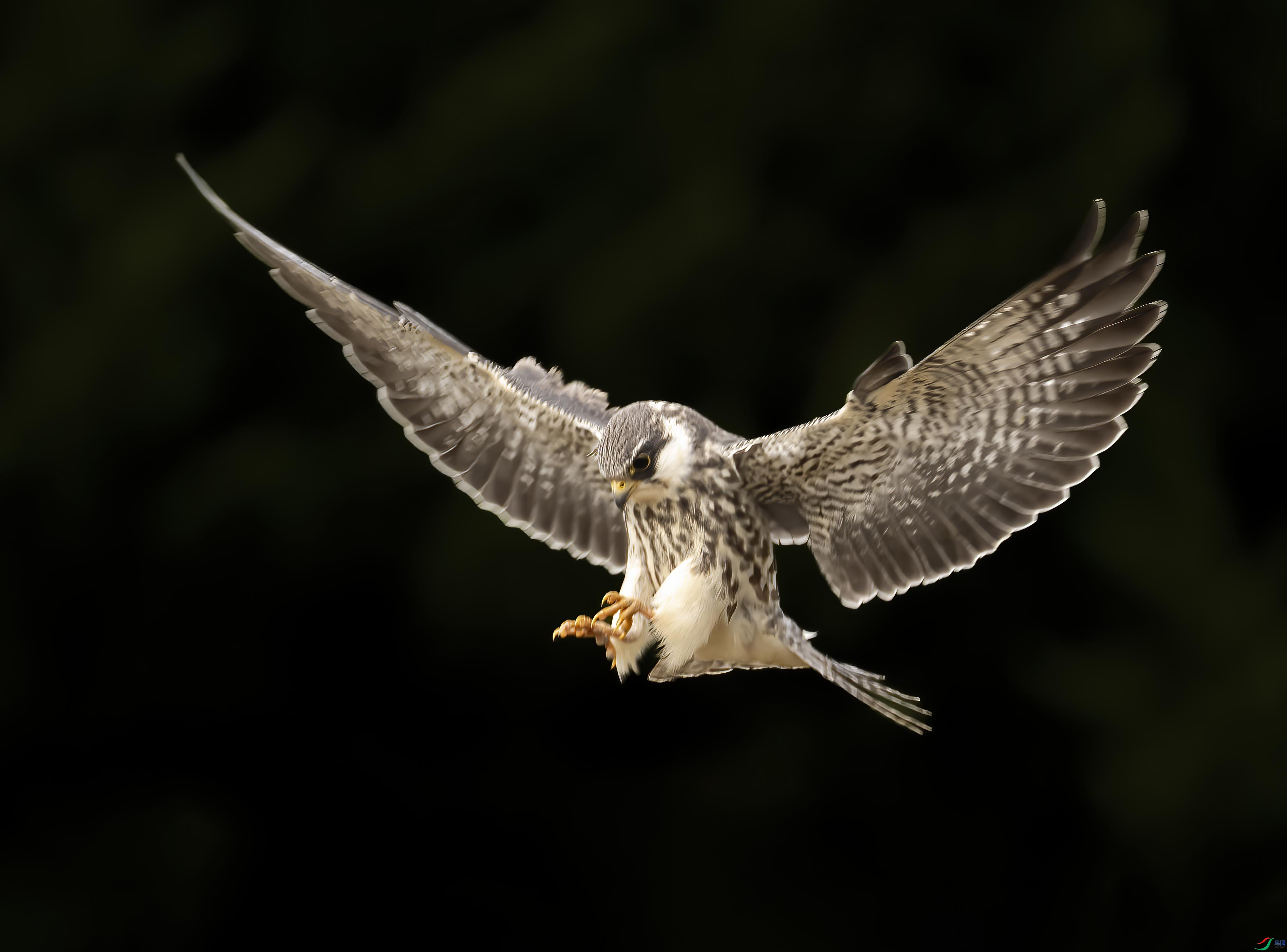 DSC_1163 ����.jpg