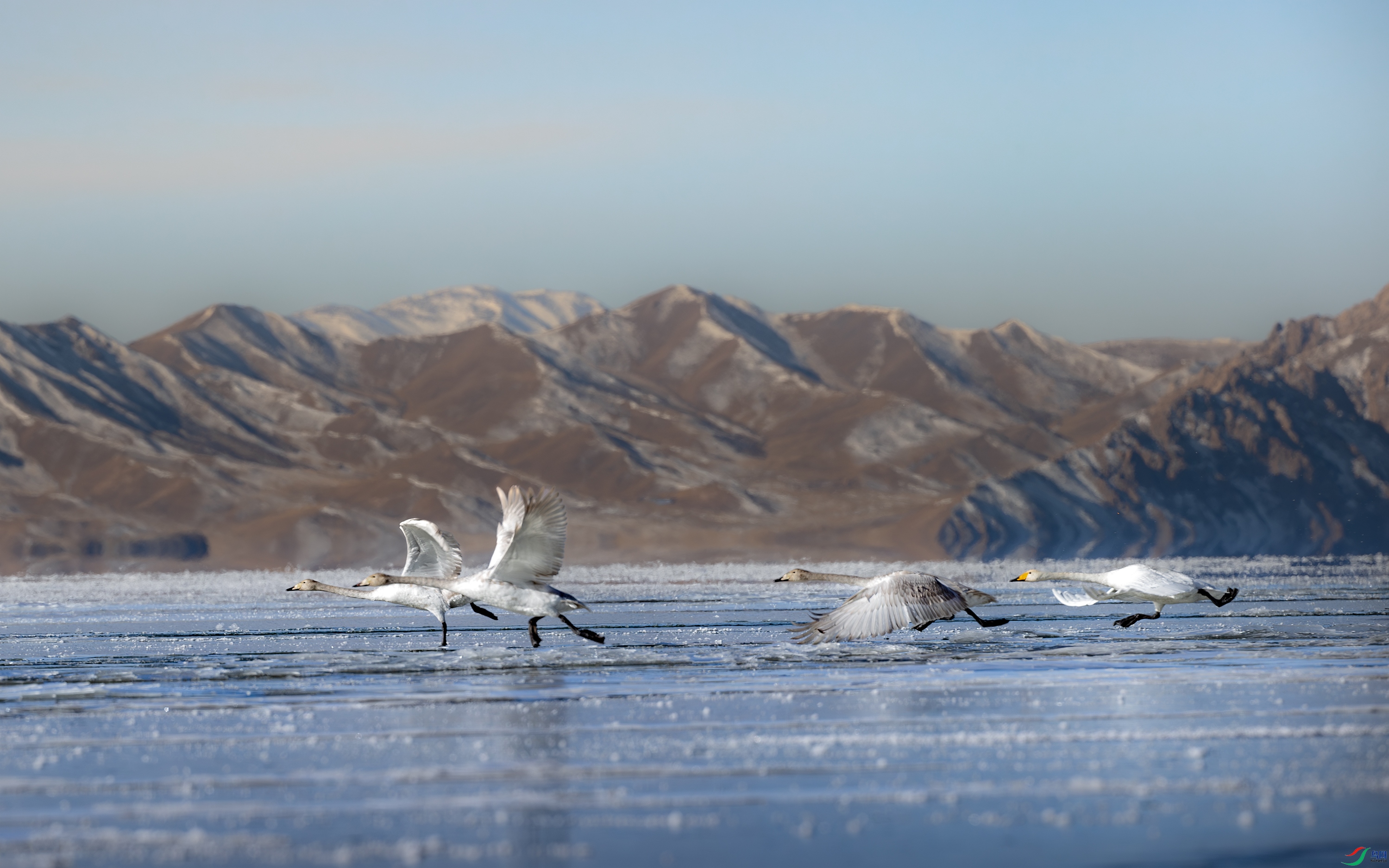 A15I0146-����ǿ-NR ����.jpg