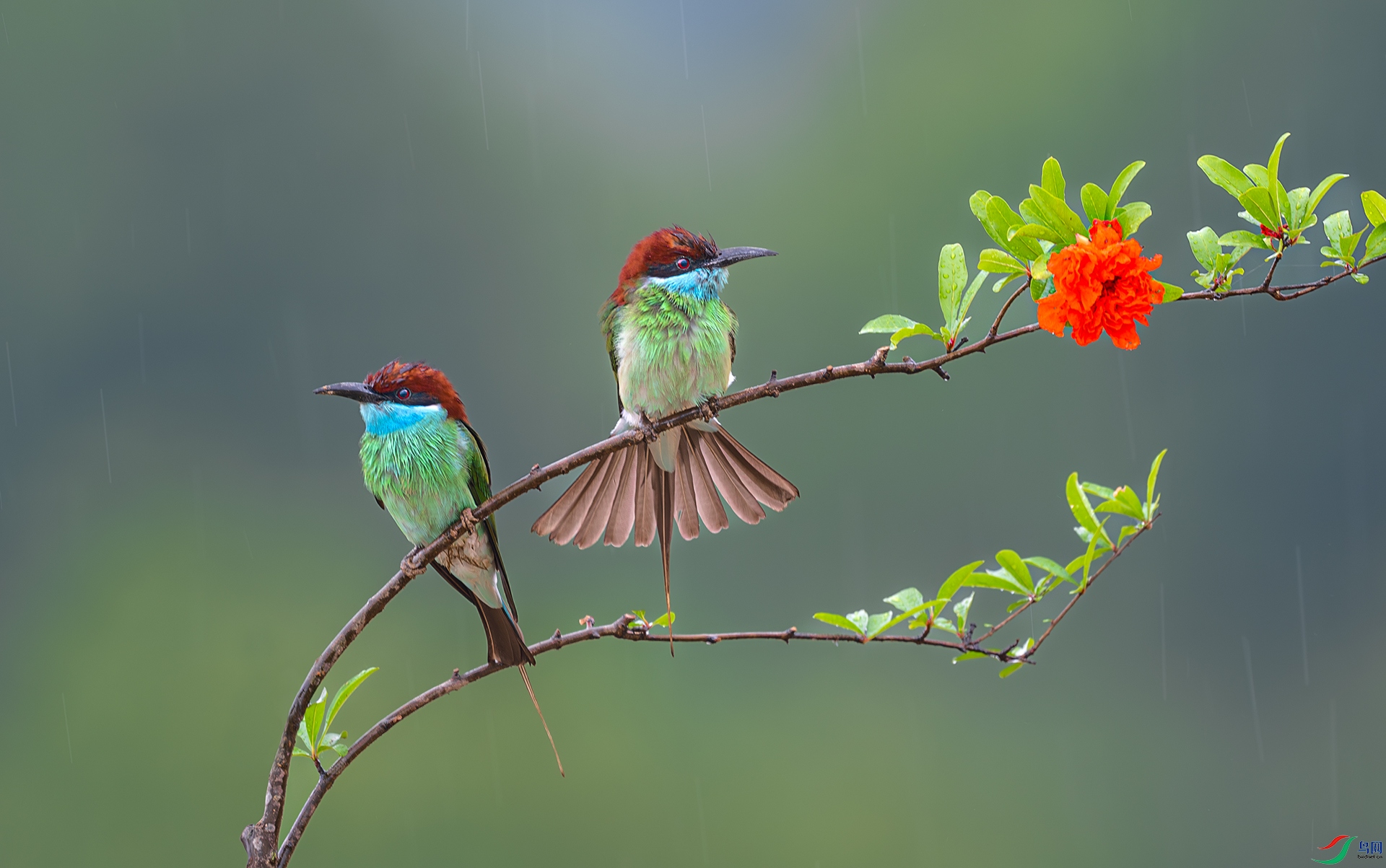 ����DSC_4955.jpg