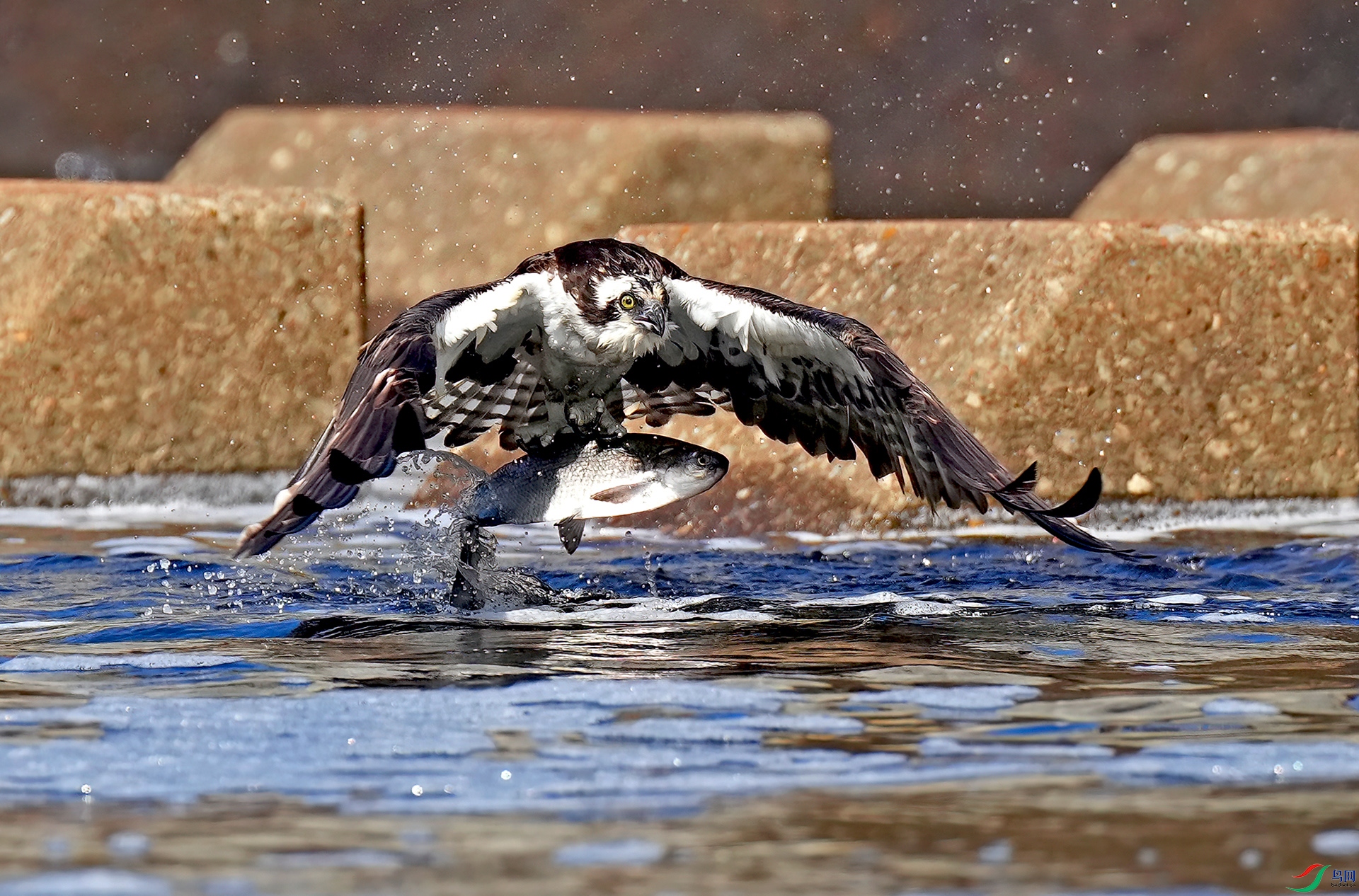 DSC02466--.jpg