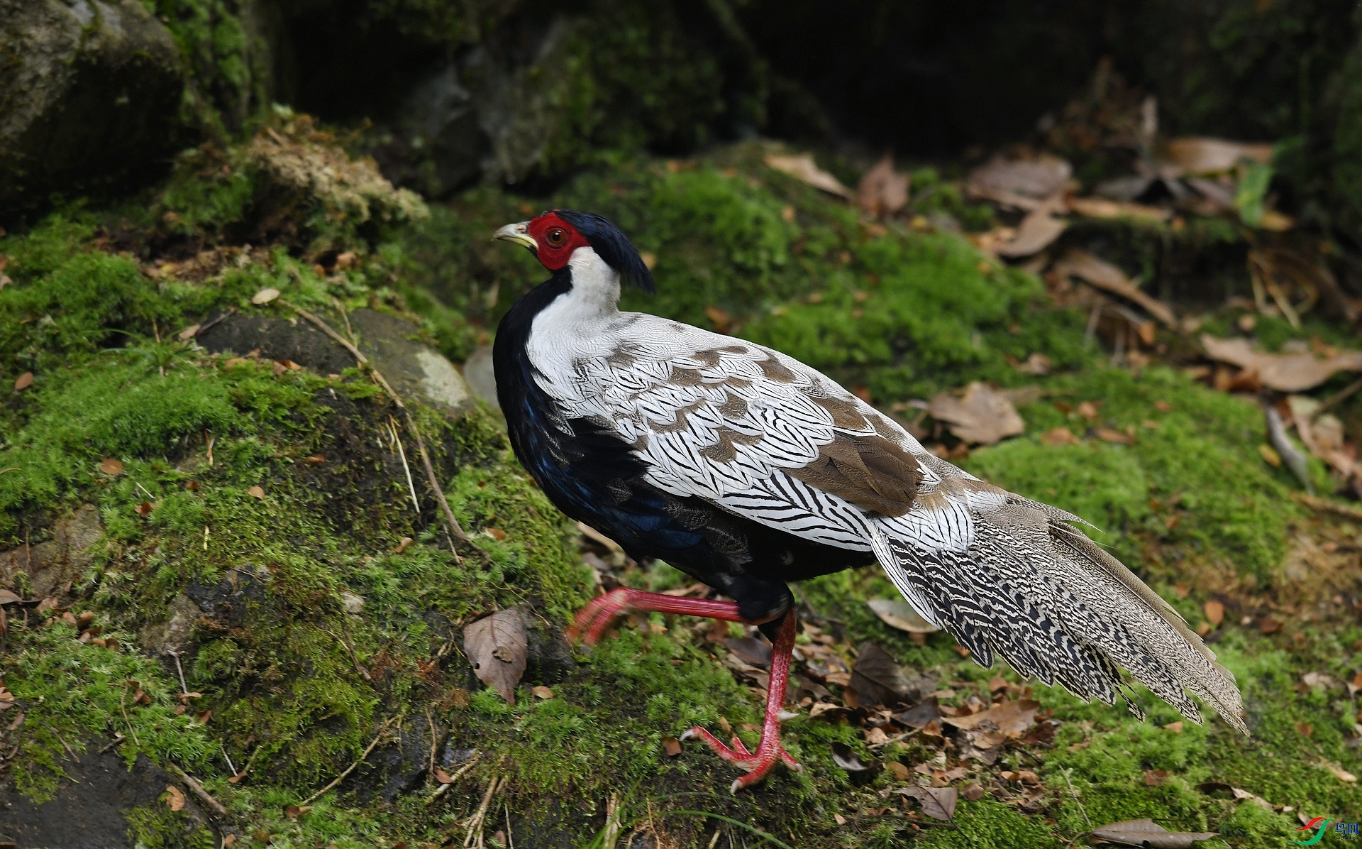 DSC_0193.jpg