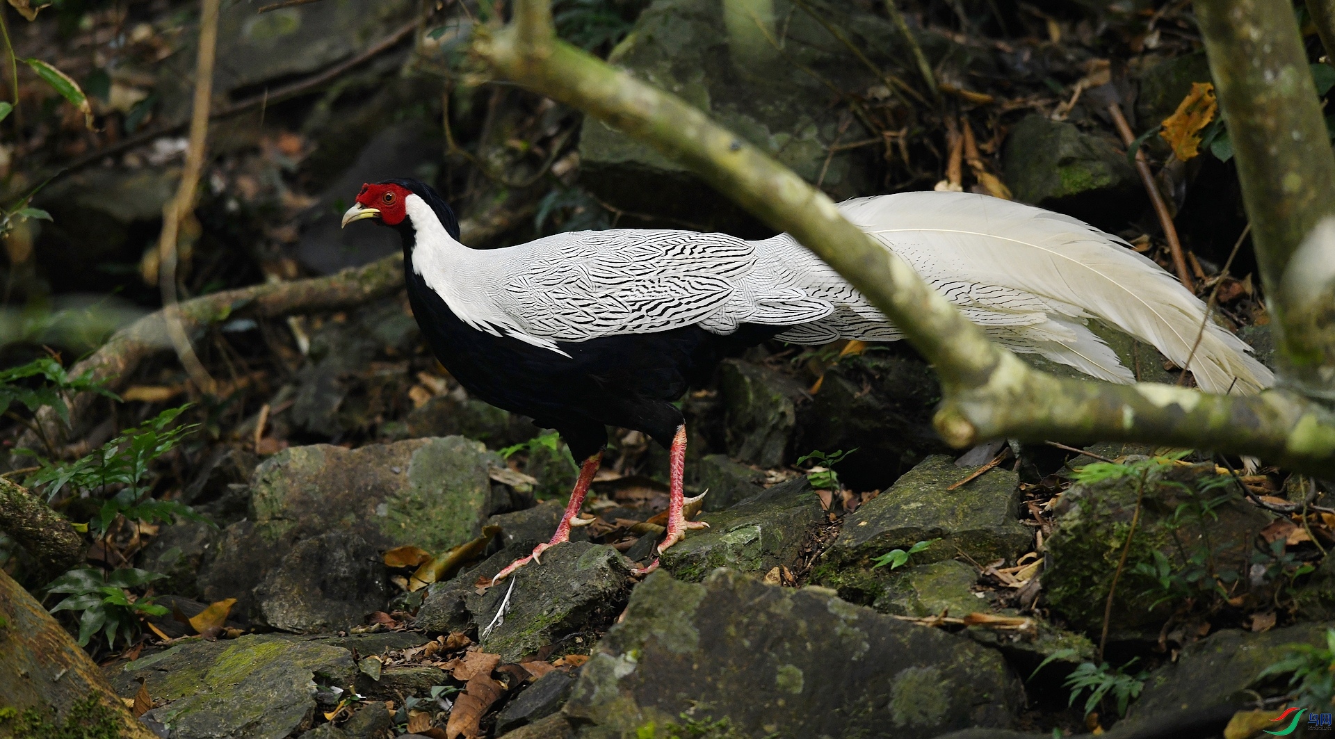 DSC_0002.jpg