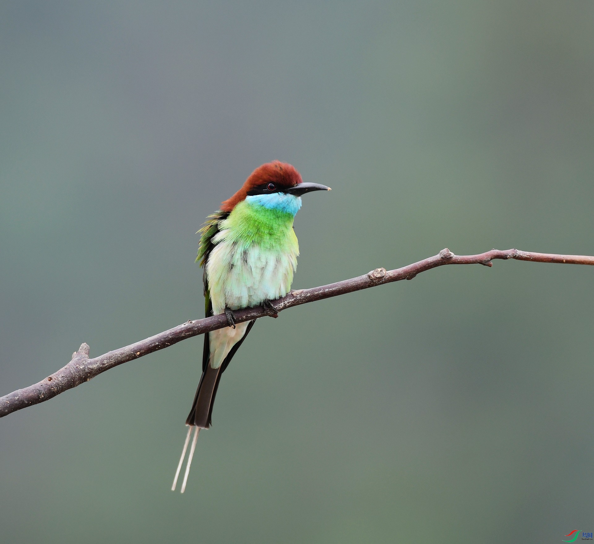 DSC_9695.jpg