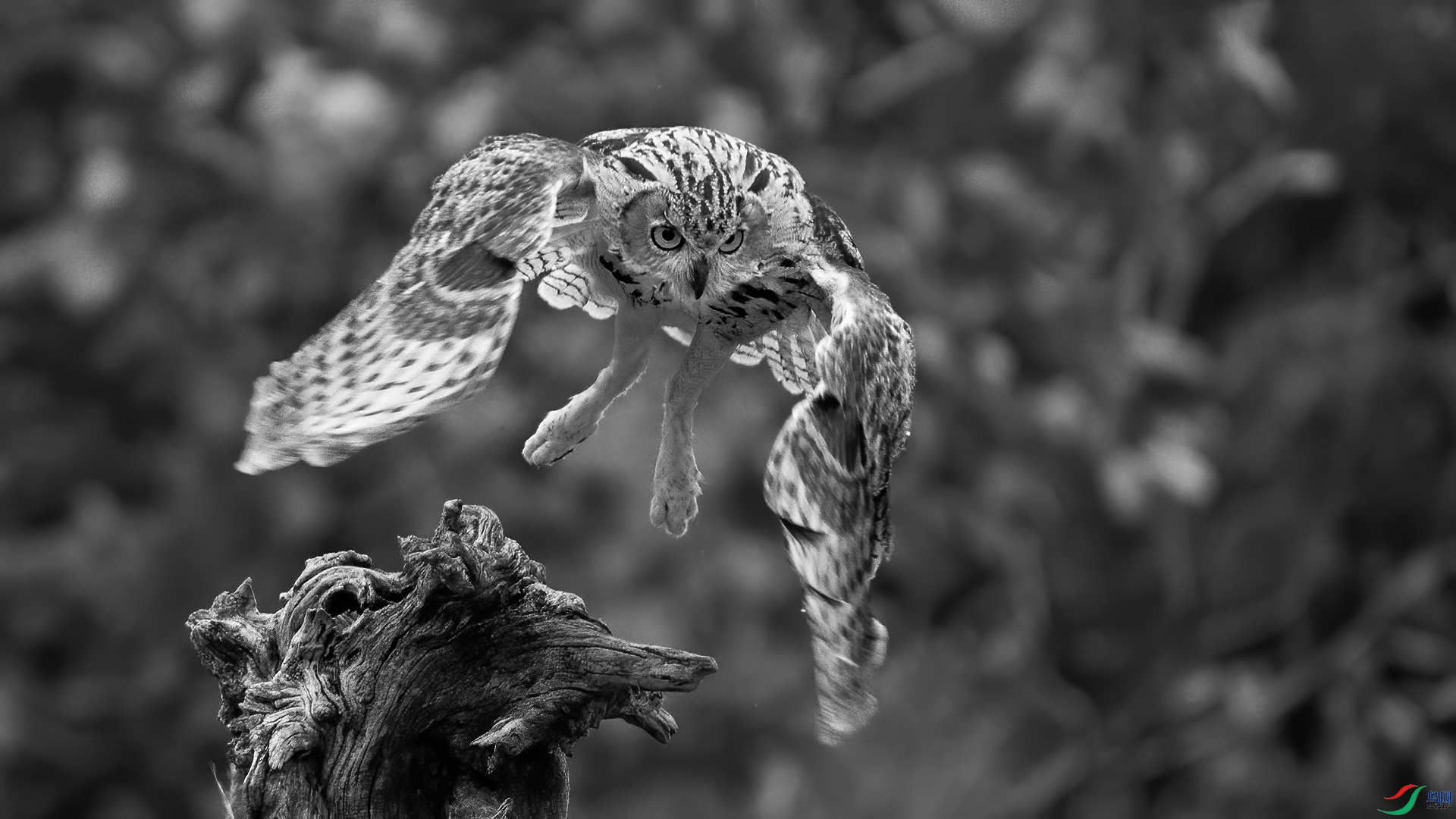 DSC_6233-2-20240906 �� .jpg