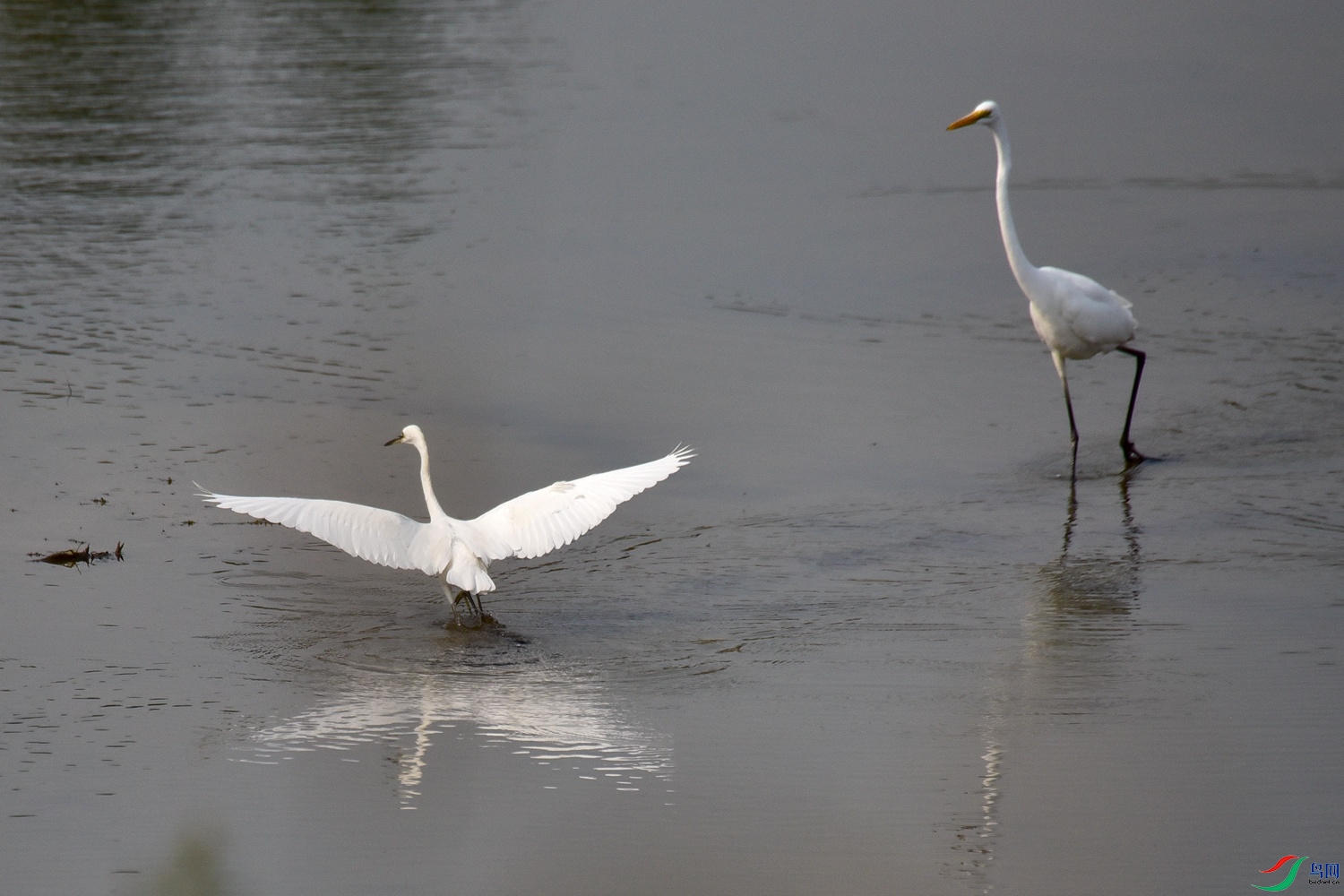 DSC_4069.JPG