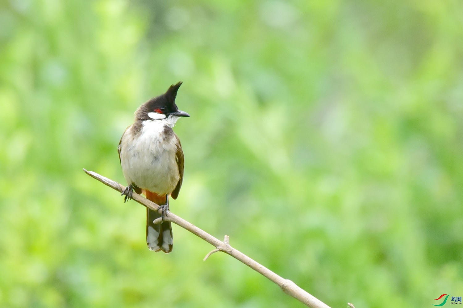 DSC_2765.JPG
