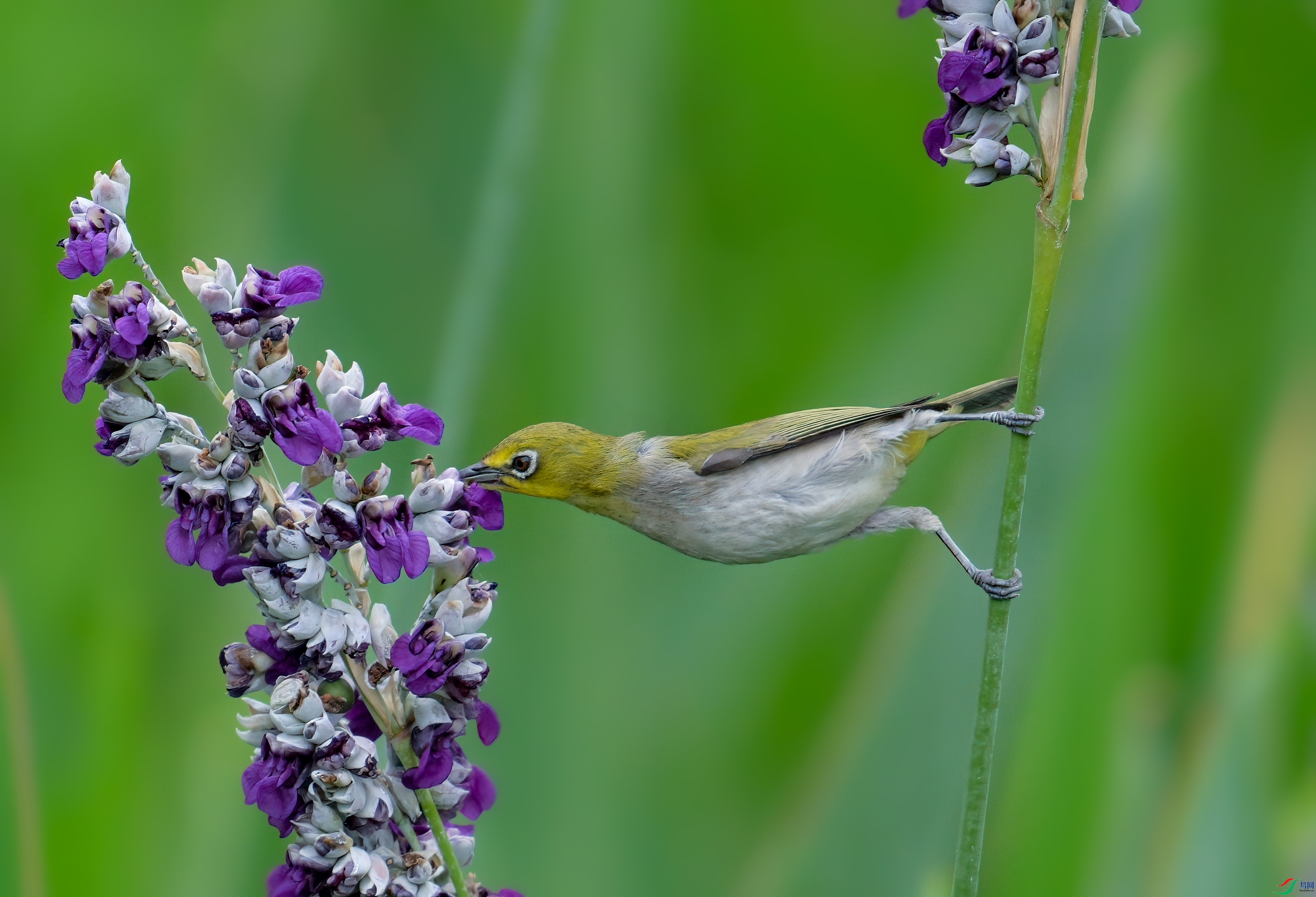 DSC_0939.jpg