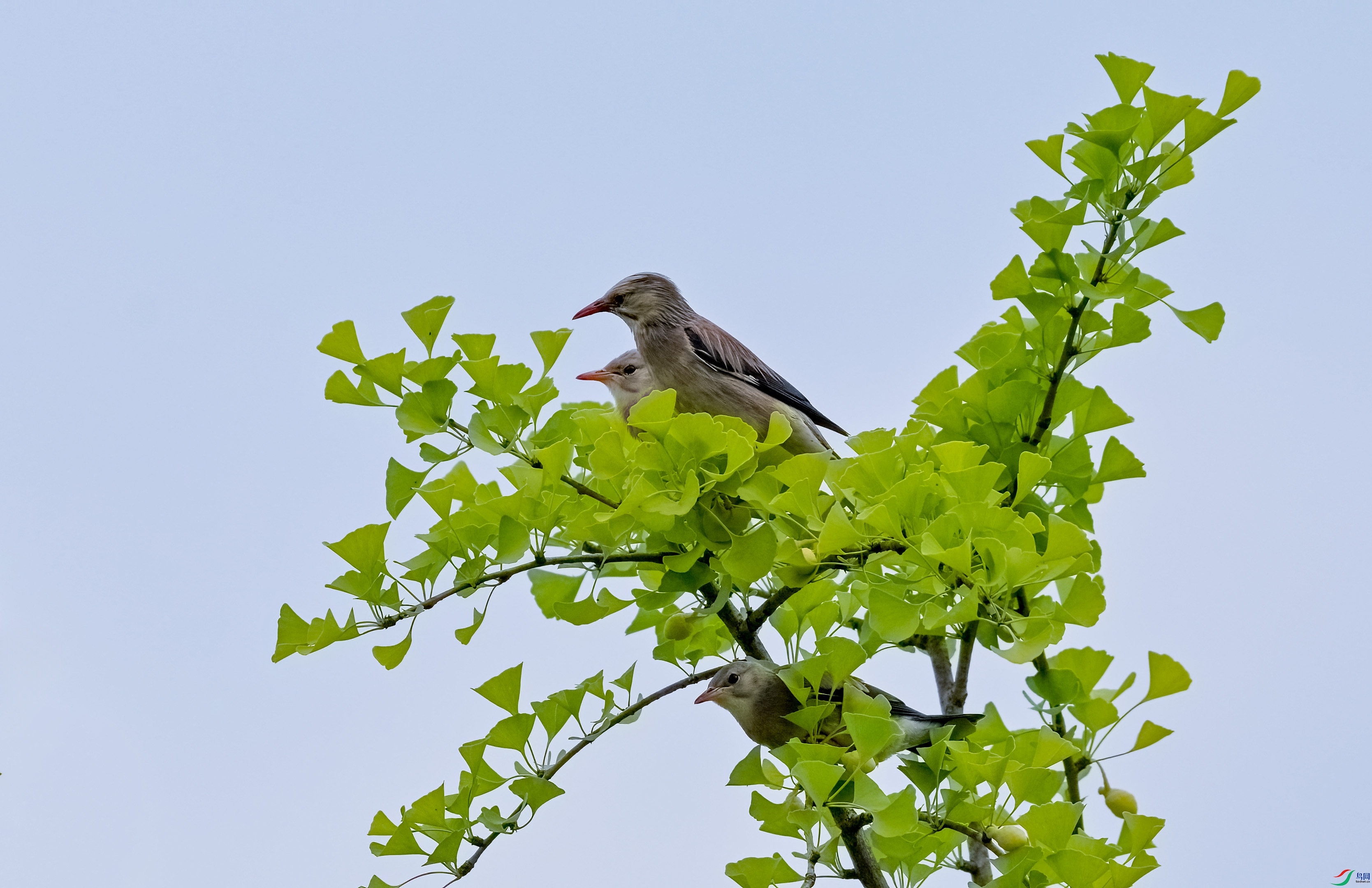DSC_0965.jpg