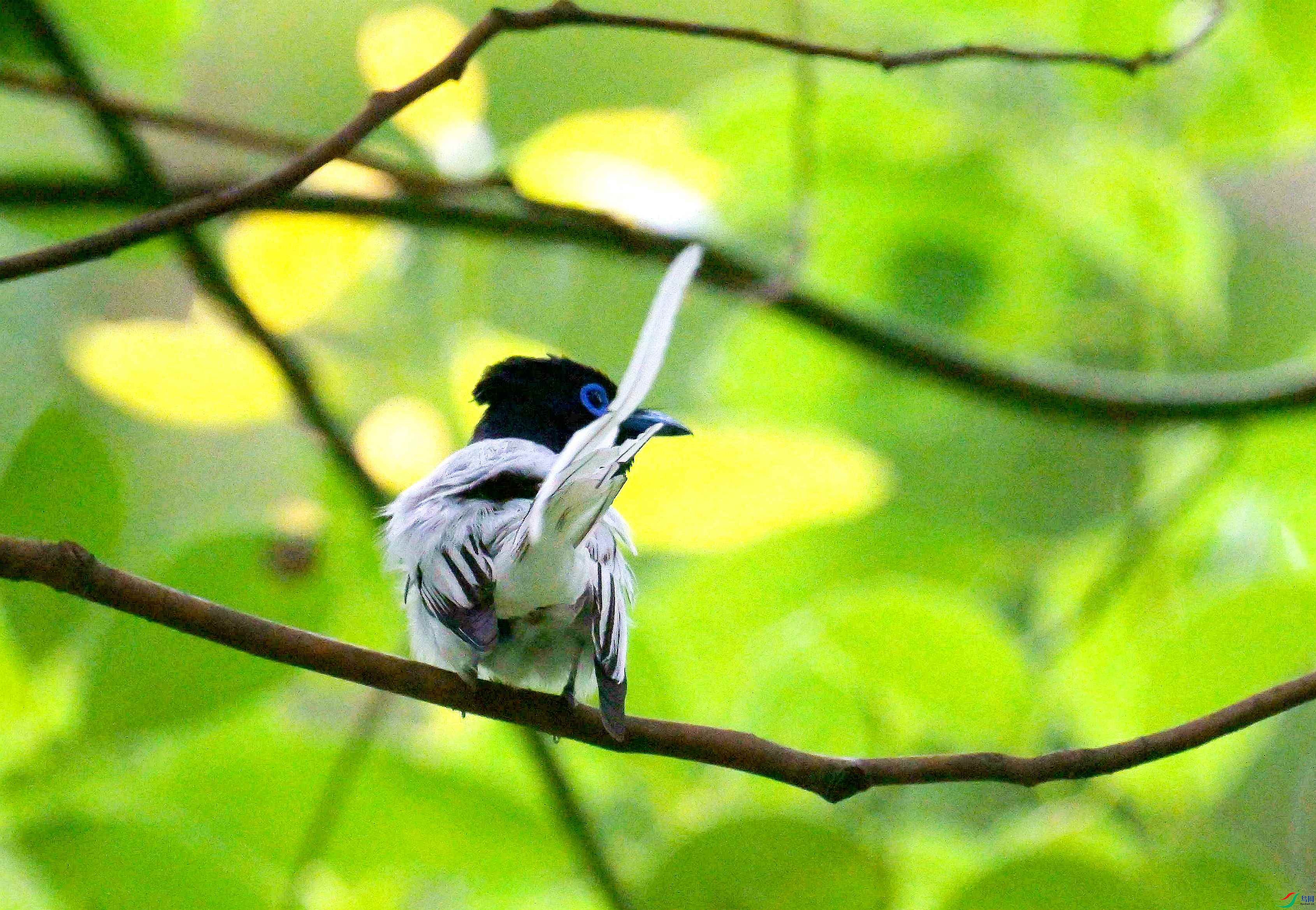 DSC_9193.jpg