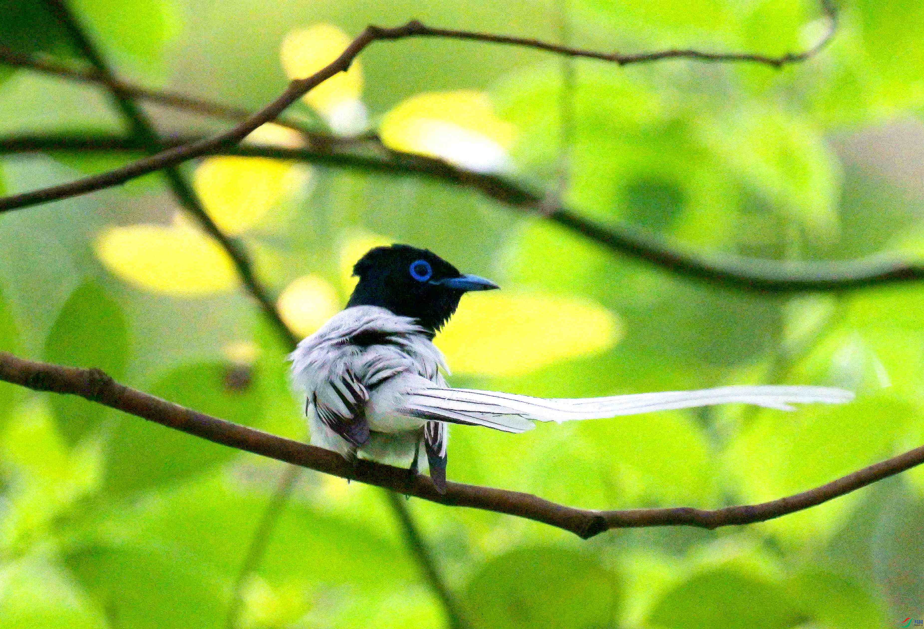 DSC_9186.jpg