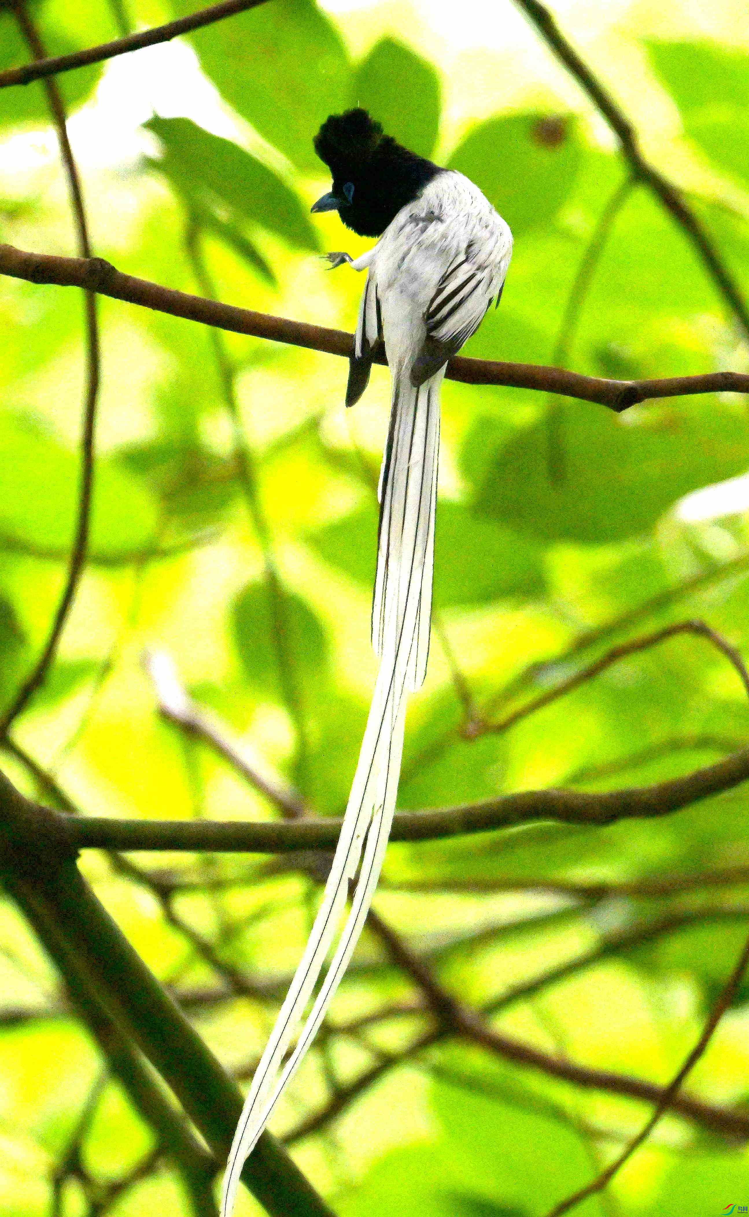 DSC_9132.jpg