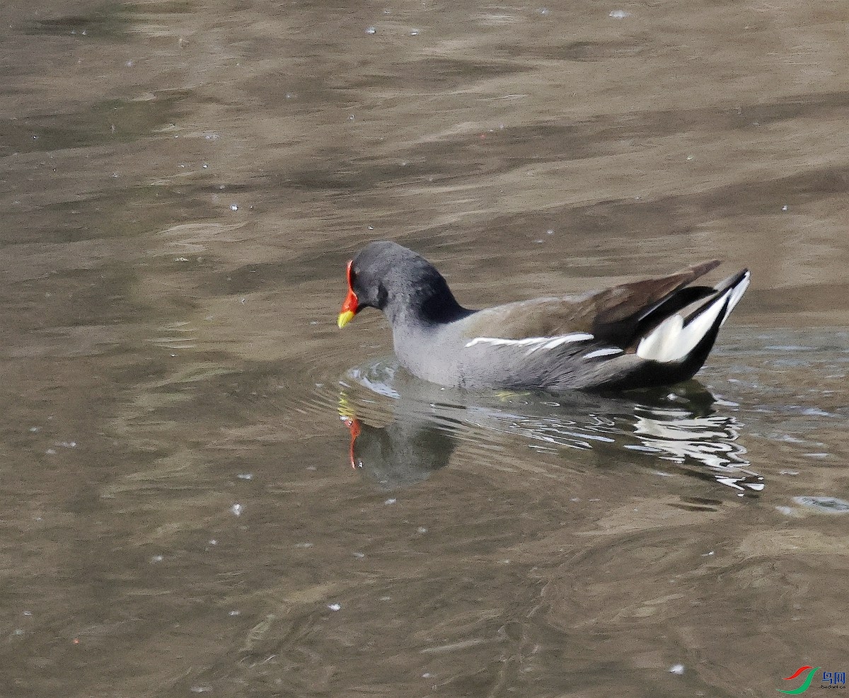 3A4833��ˮ��-25.JPG