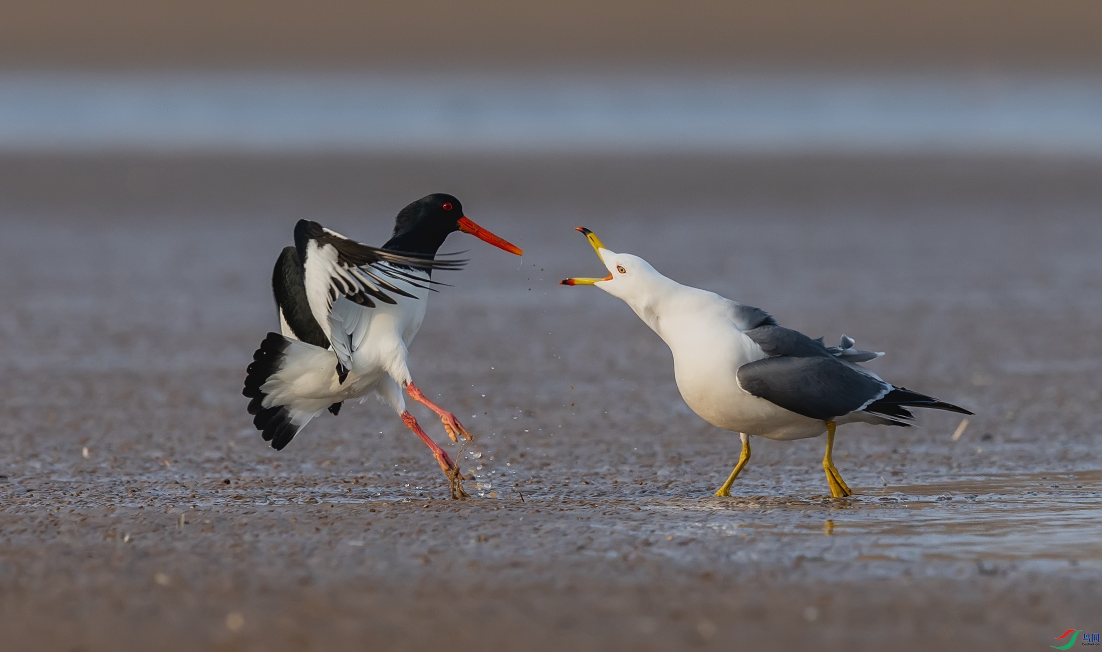 ��βŸ������