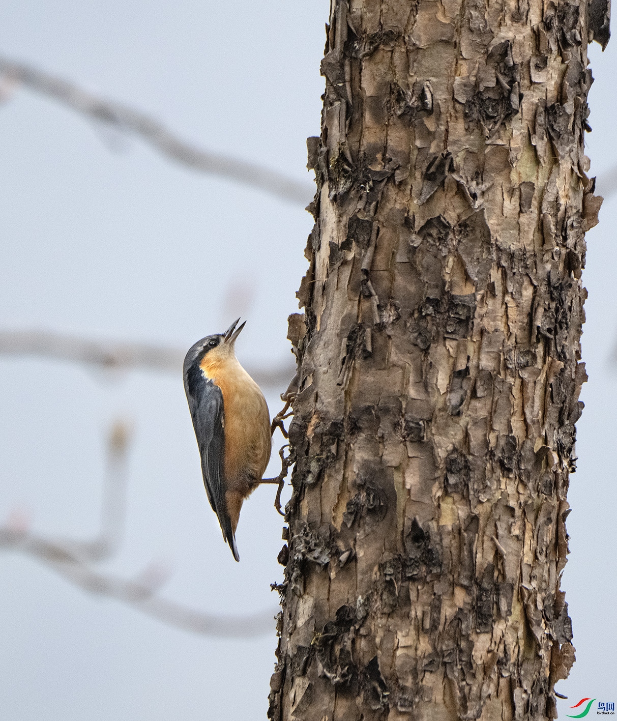 DSC_0880 ����.jpg