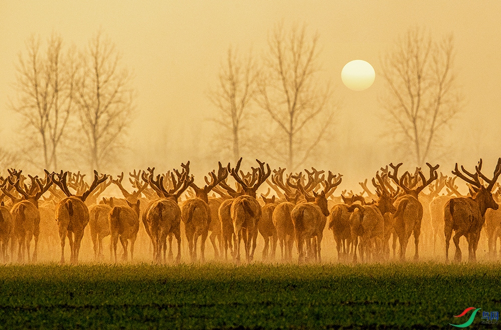 ����¹�� 0800.jpg