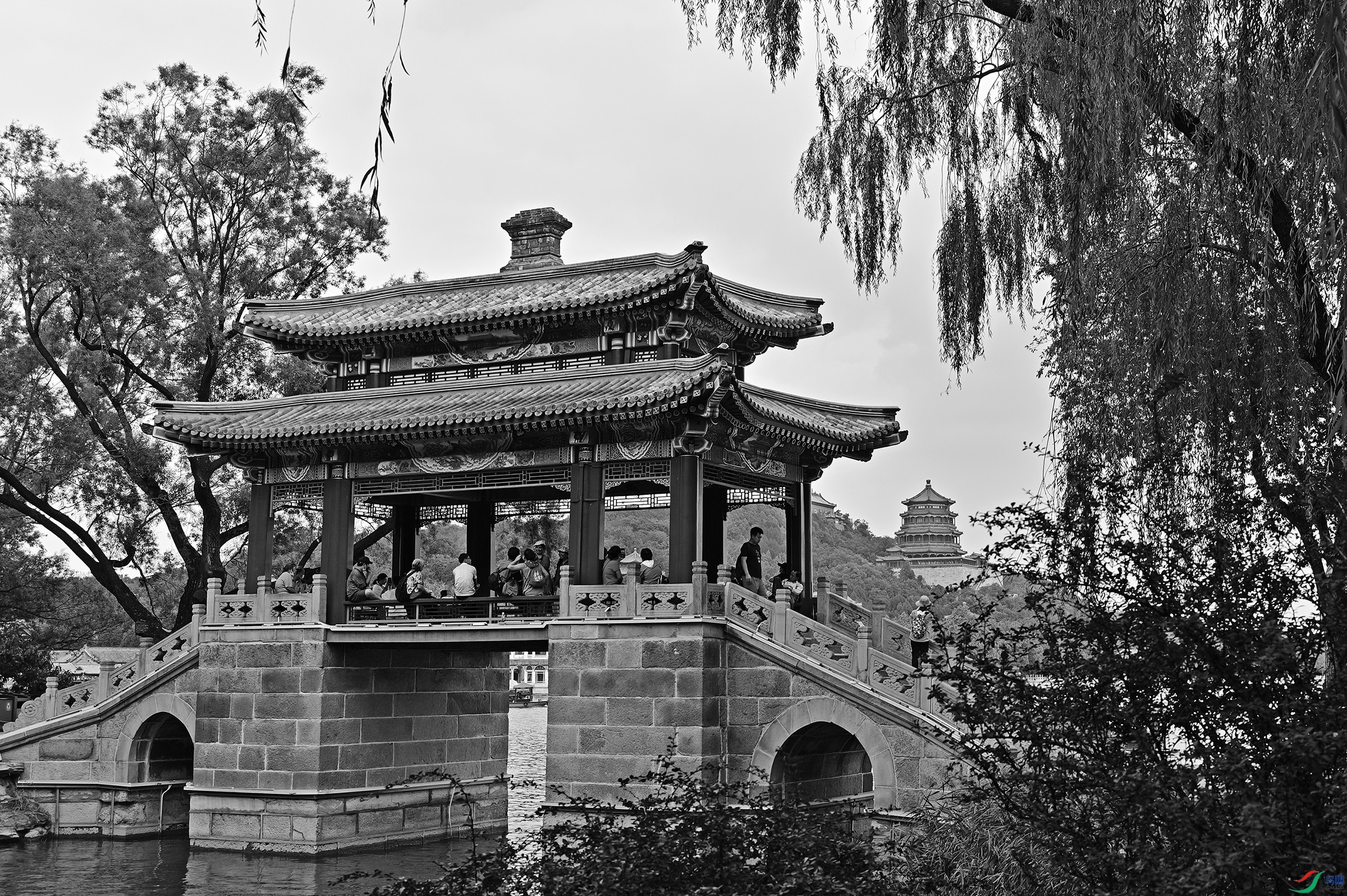 DSC_1205.jpg
