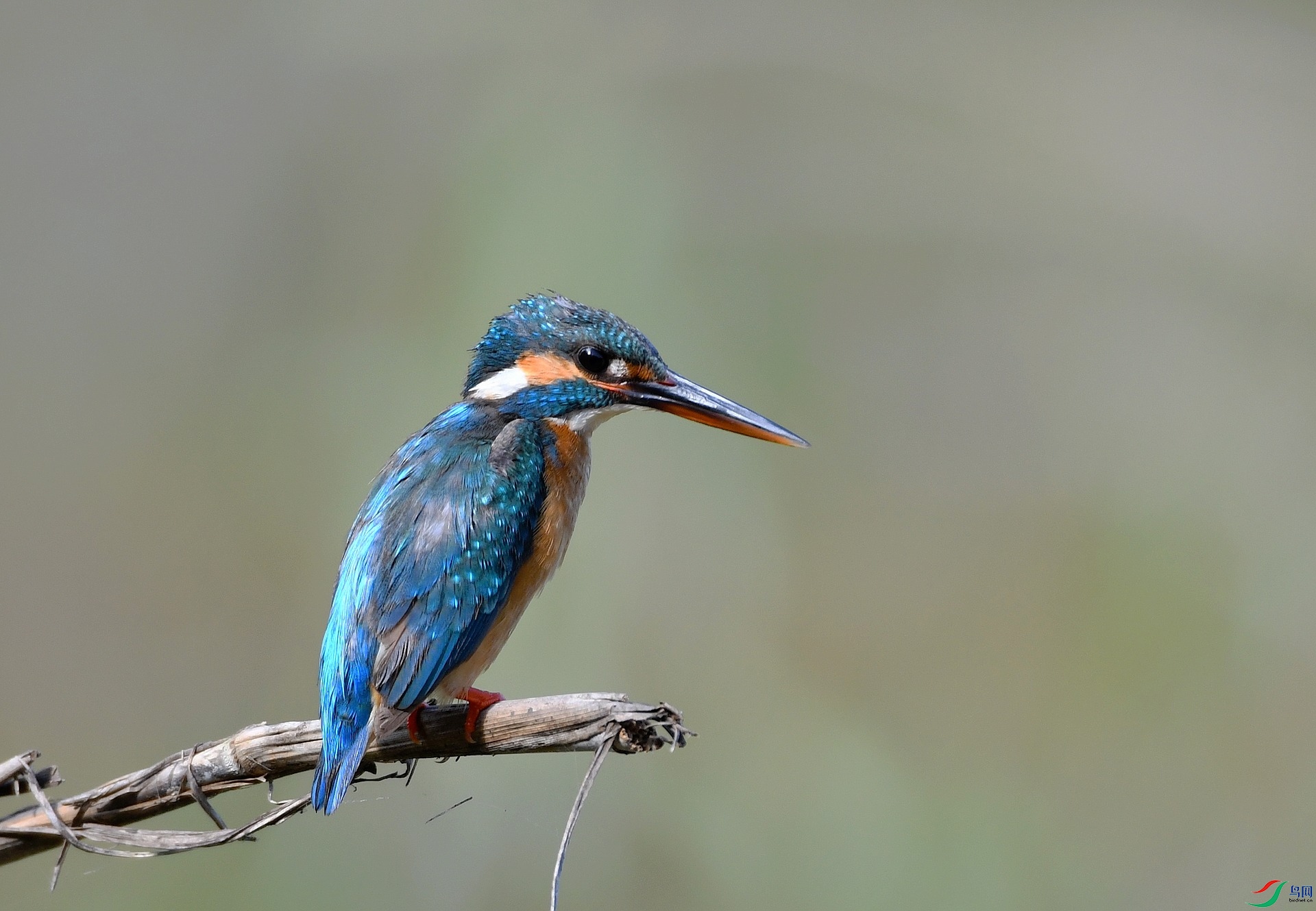 DSC_9287.jpg