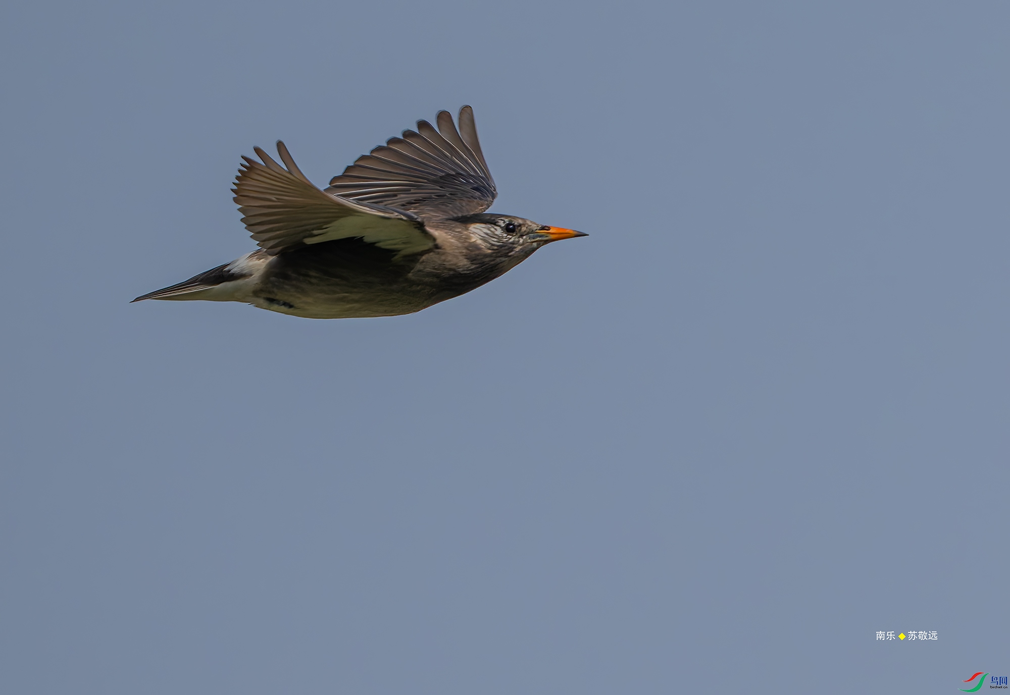 20250416-_DSC6258С.jpg