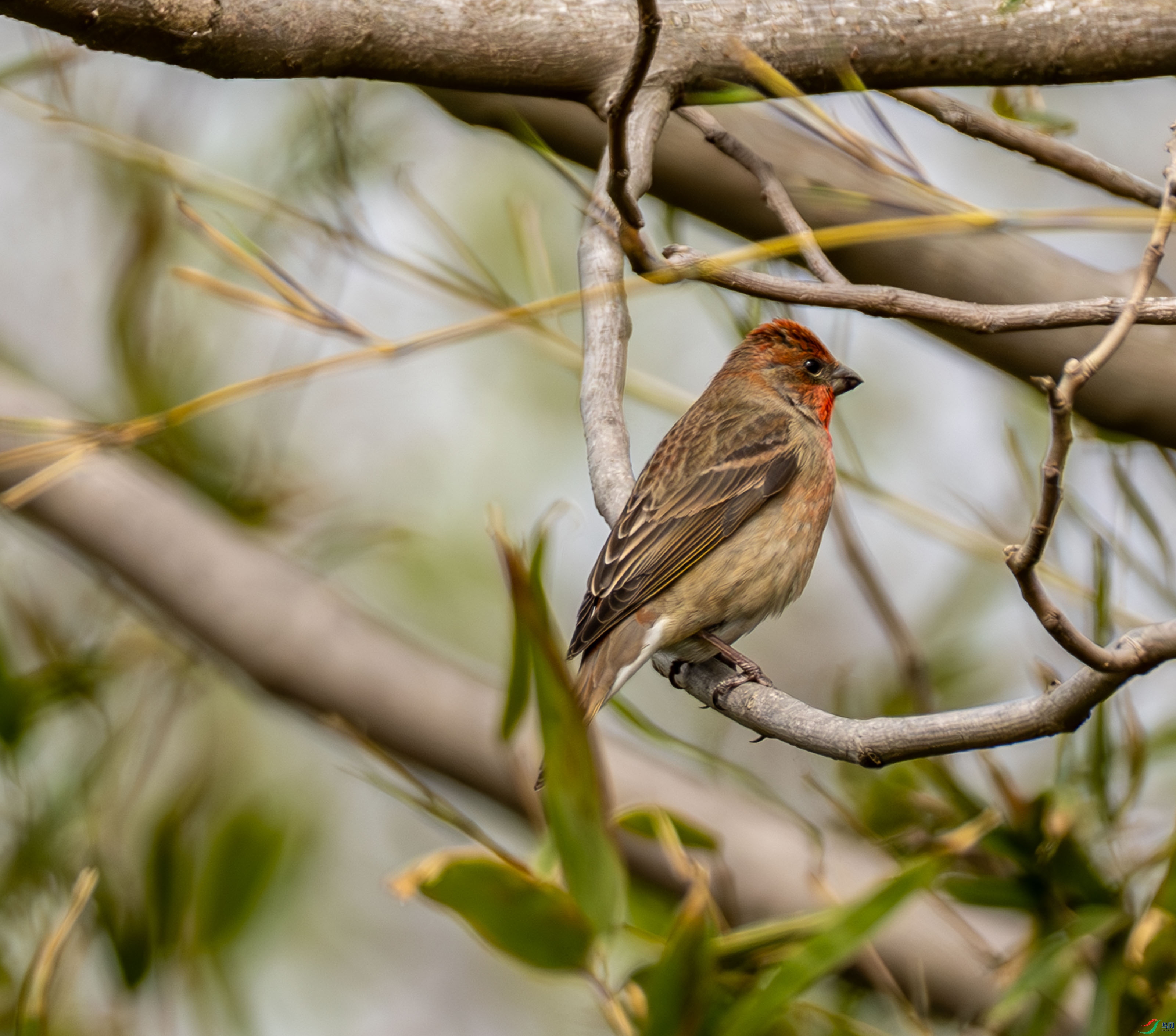 ��ͨ��ȸ (2 - 2).jpg