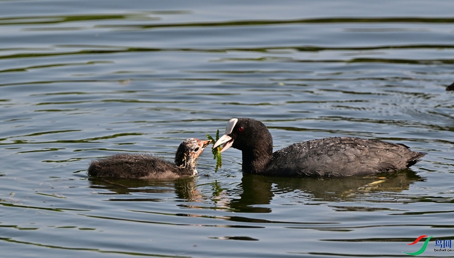 DSC_0840.JPG
