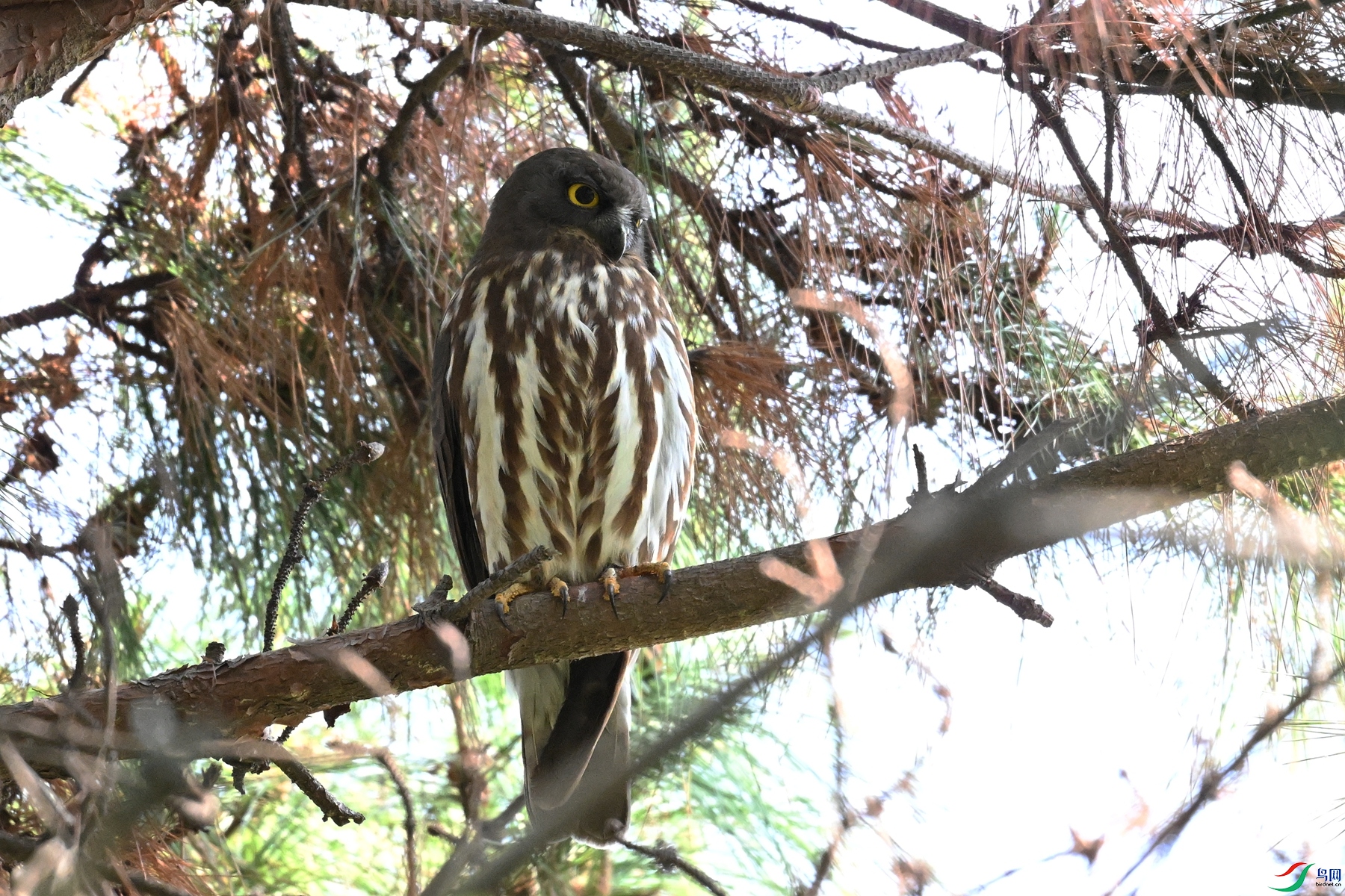 DSC_3379.JPG