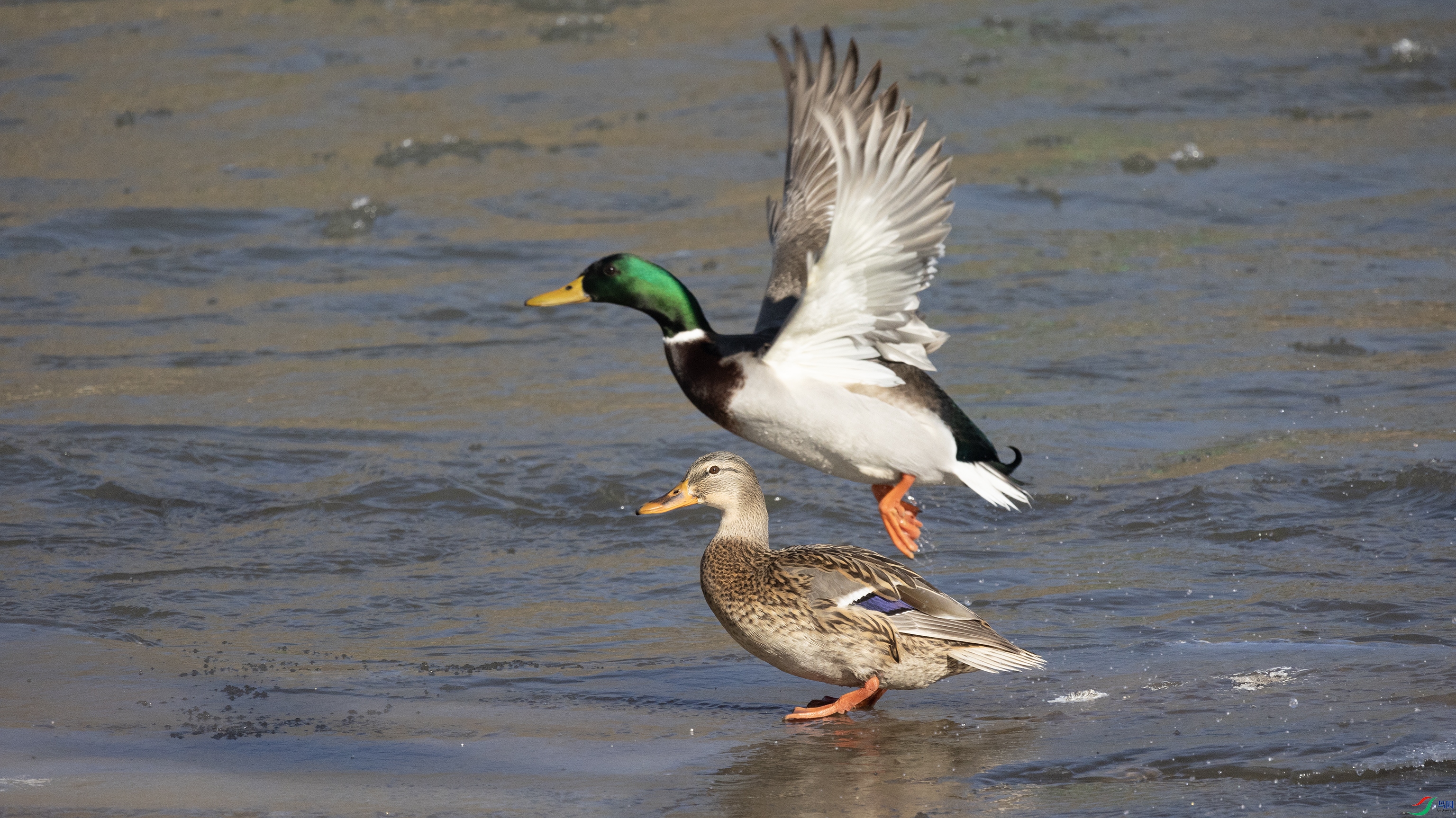 381A8179 ����4444.jpg