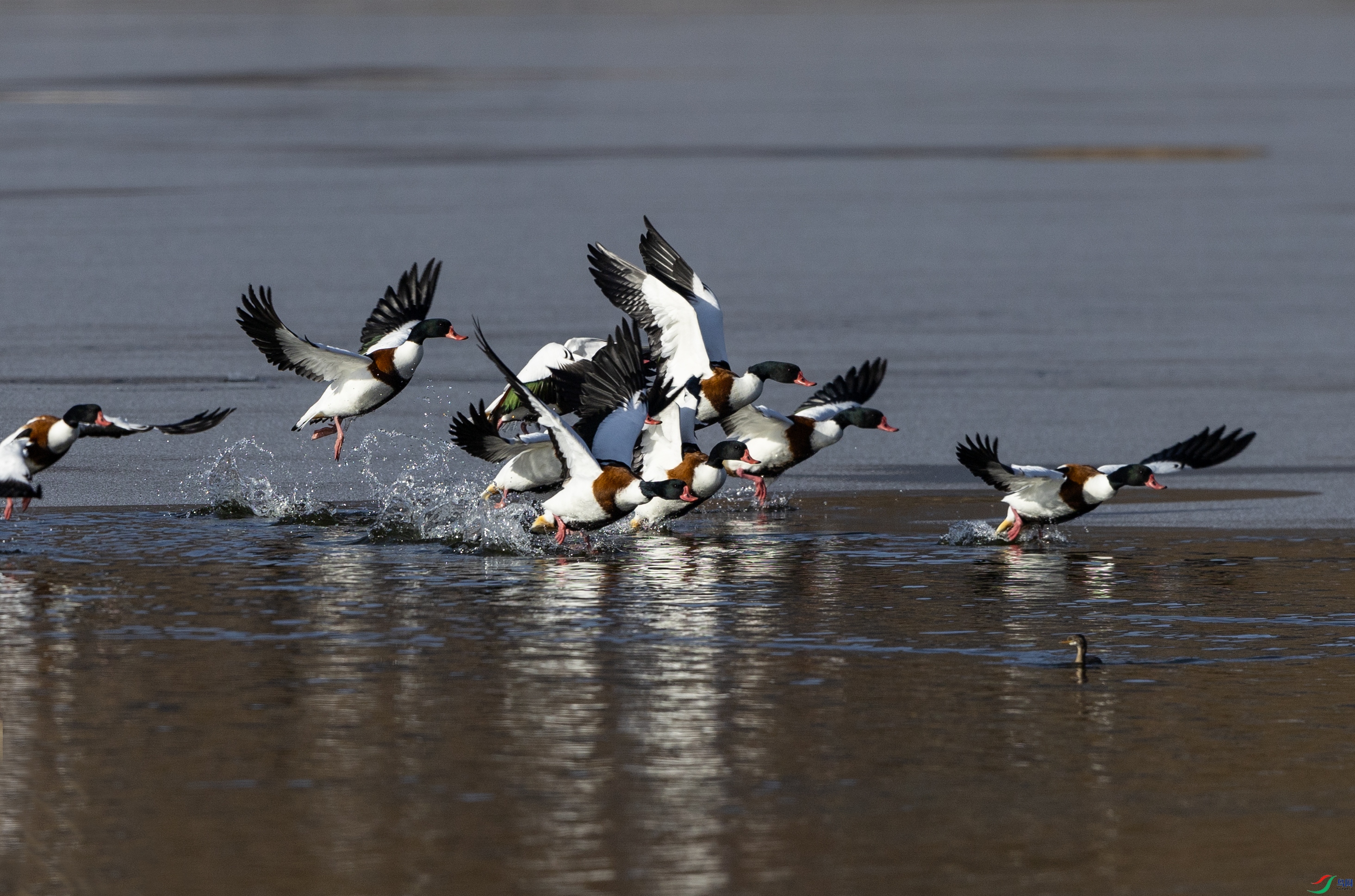 7X5A2187-2 ����4444.jpg