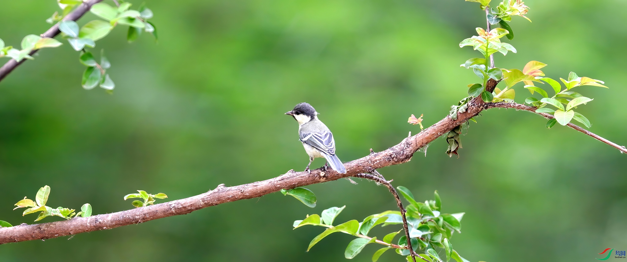 ��֡ 2025-06-08 183024_1.1.jpg