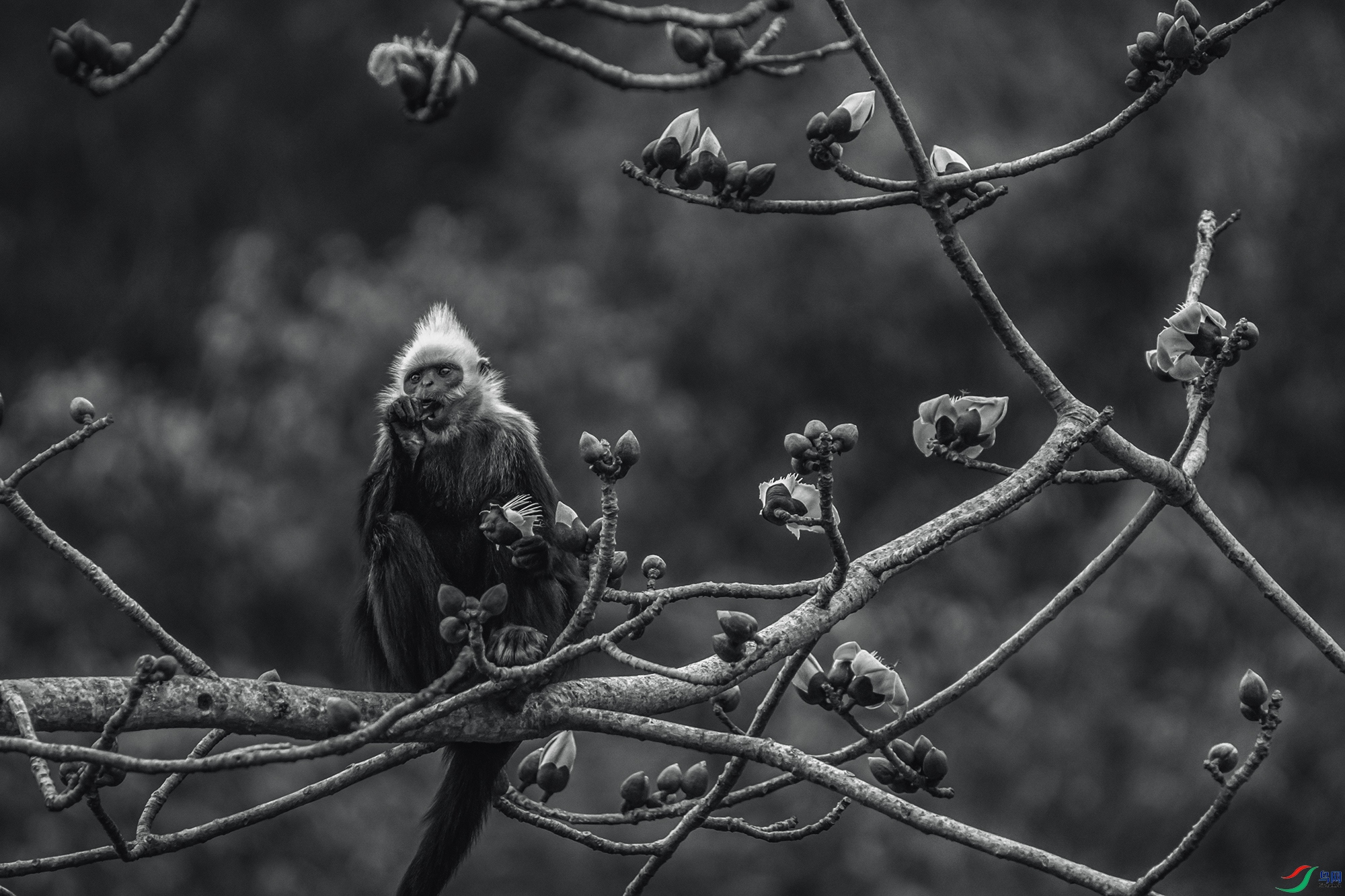 DSC02896 ���� 2.jpg