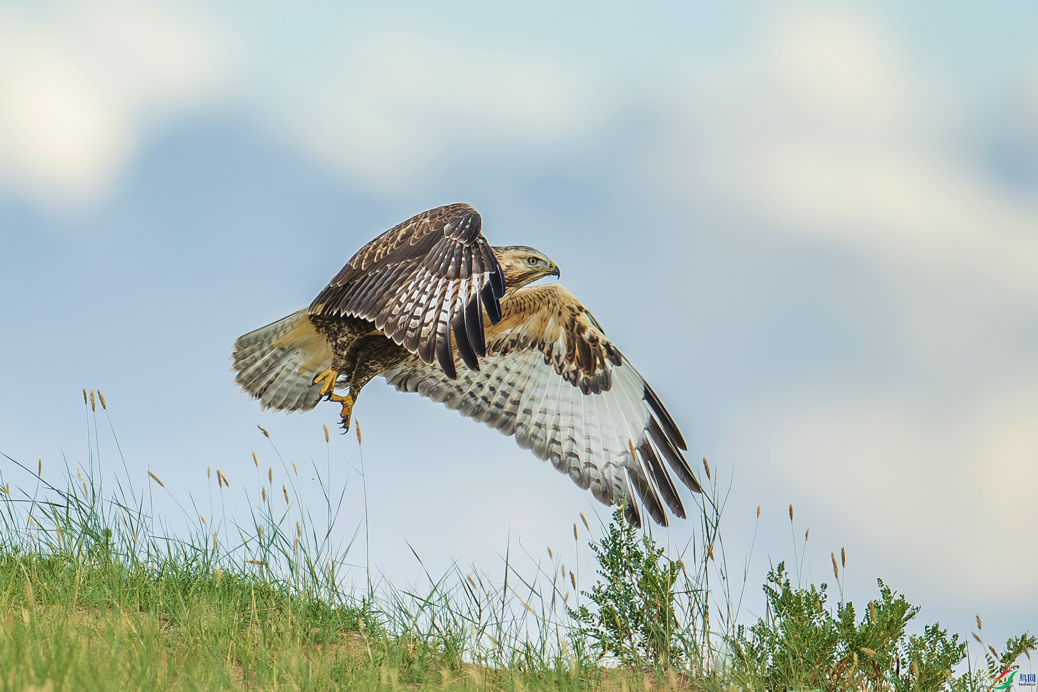 ZCOT-0016.jpg