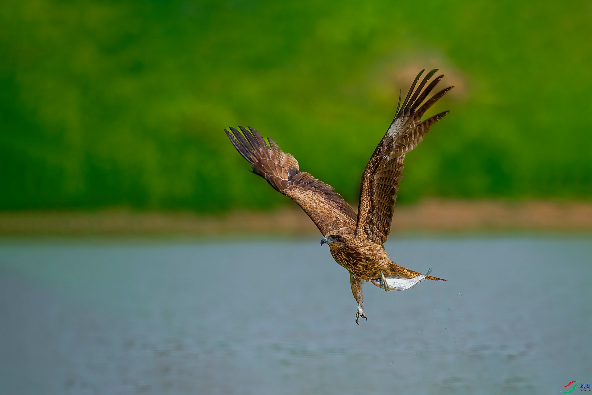 QIN_1319-1.jpg