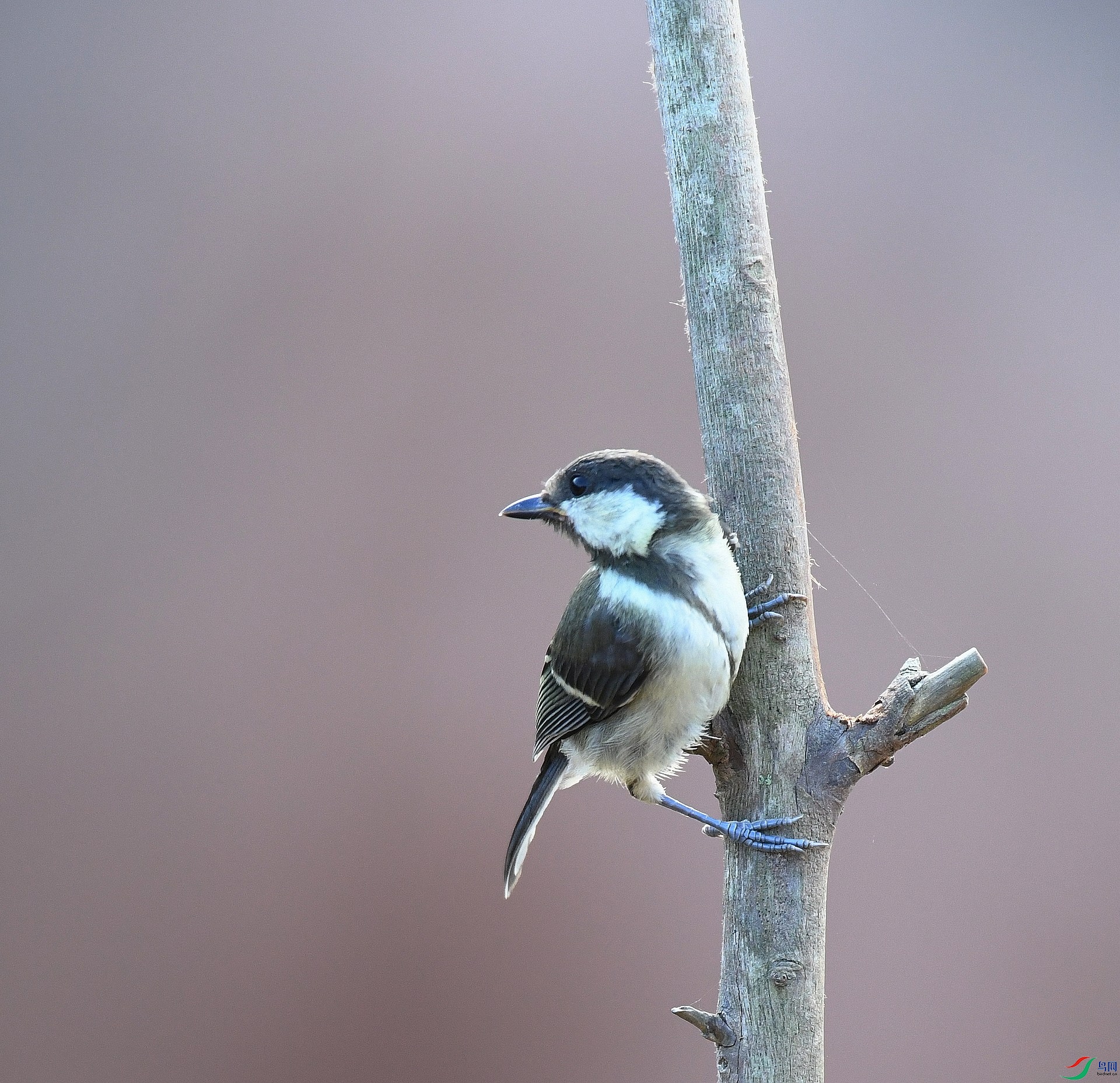 DSC_0448.jpg