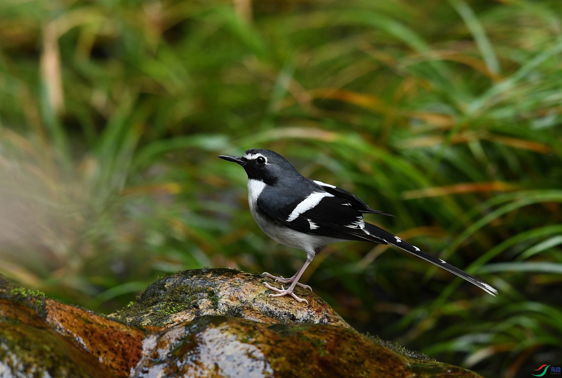 DSC_0093.jpg