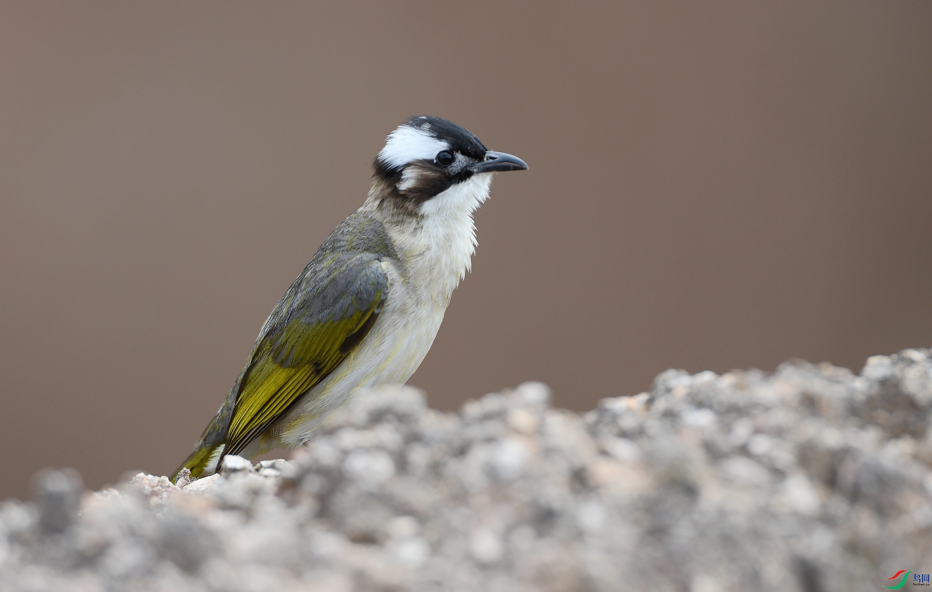 DSC_1263.jpg
