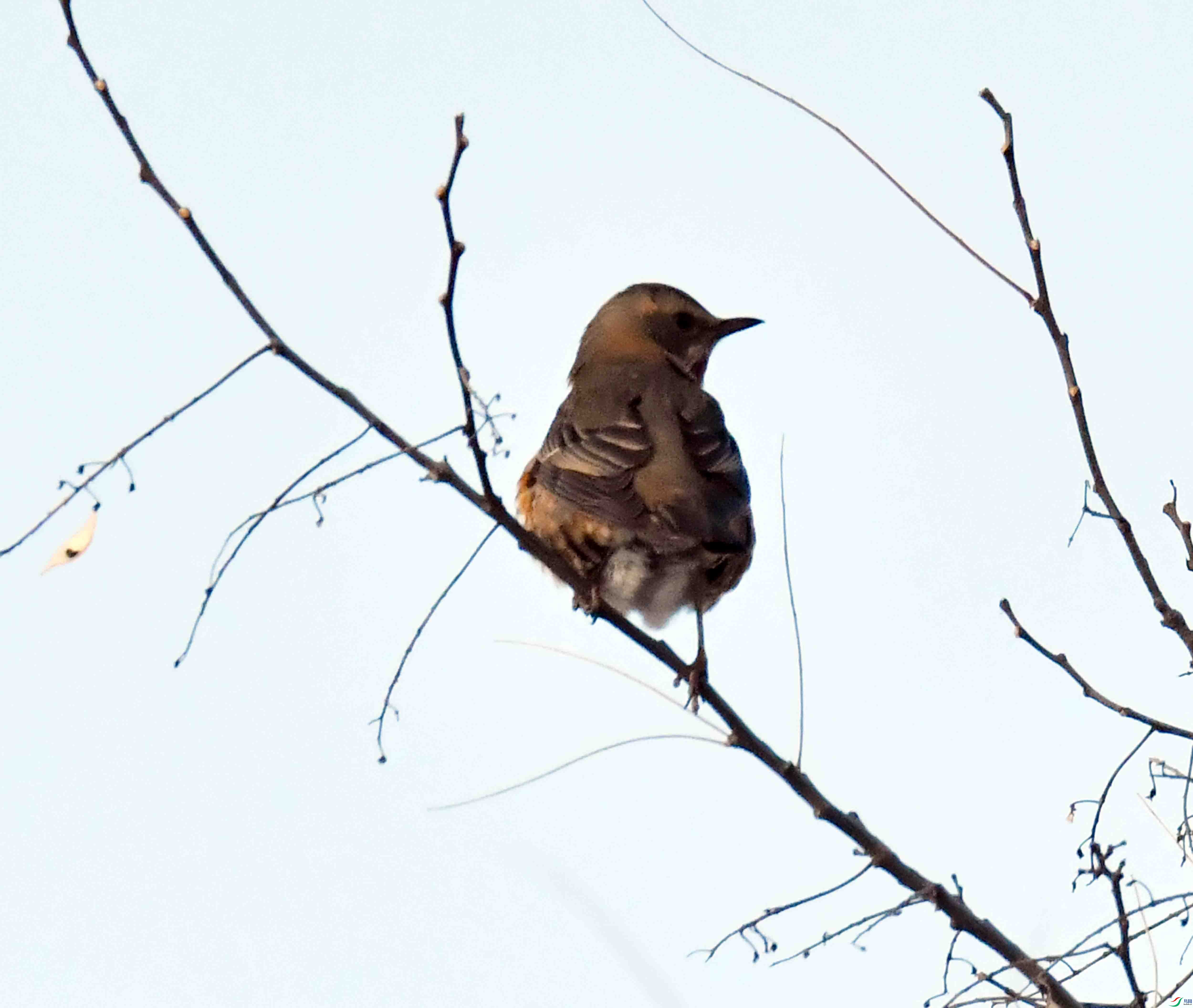 DSC_1664.JPG